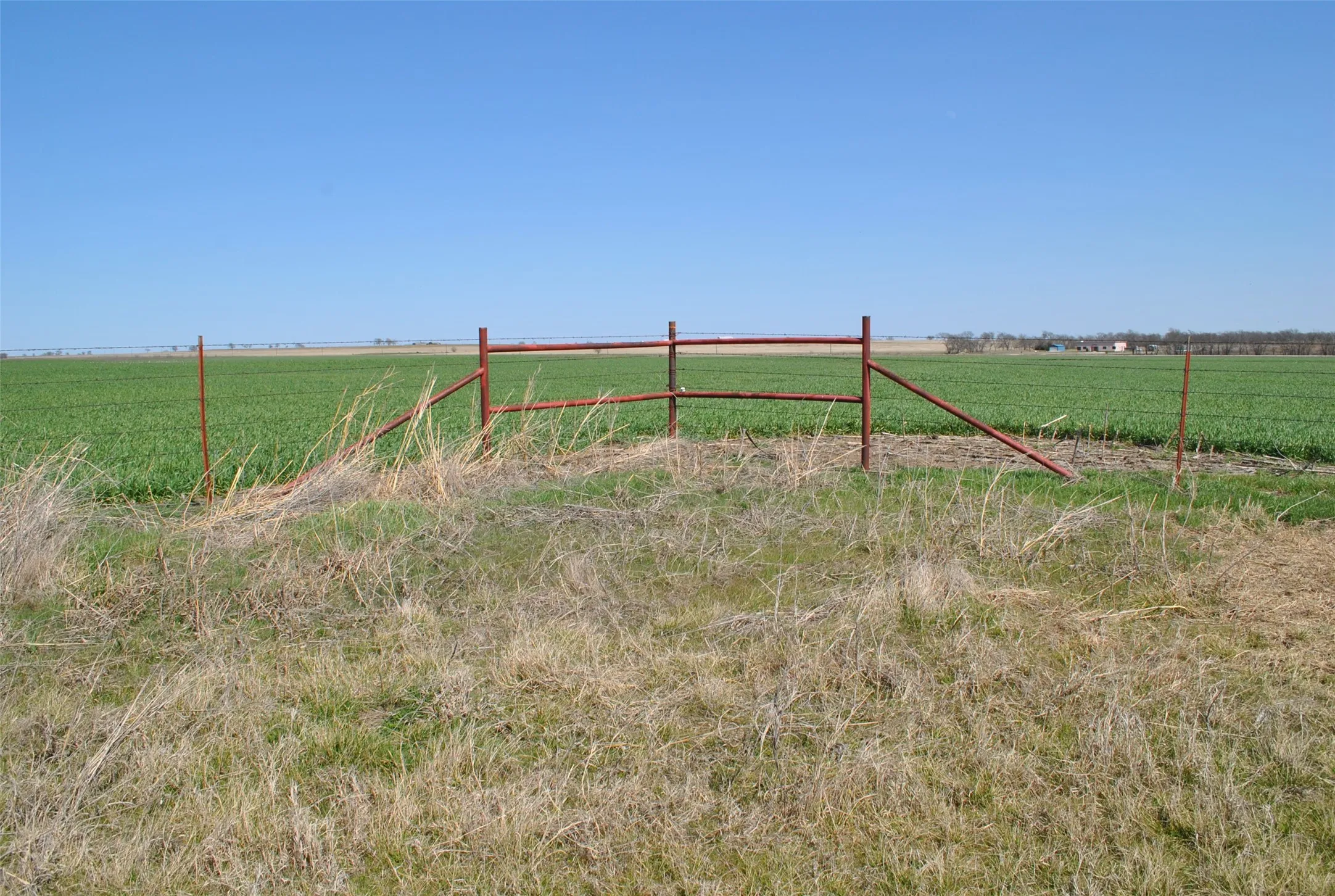 Northeast Corner fencing