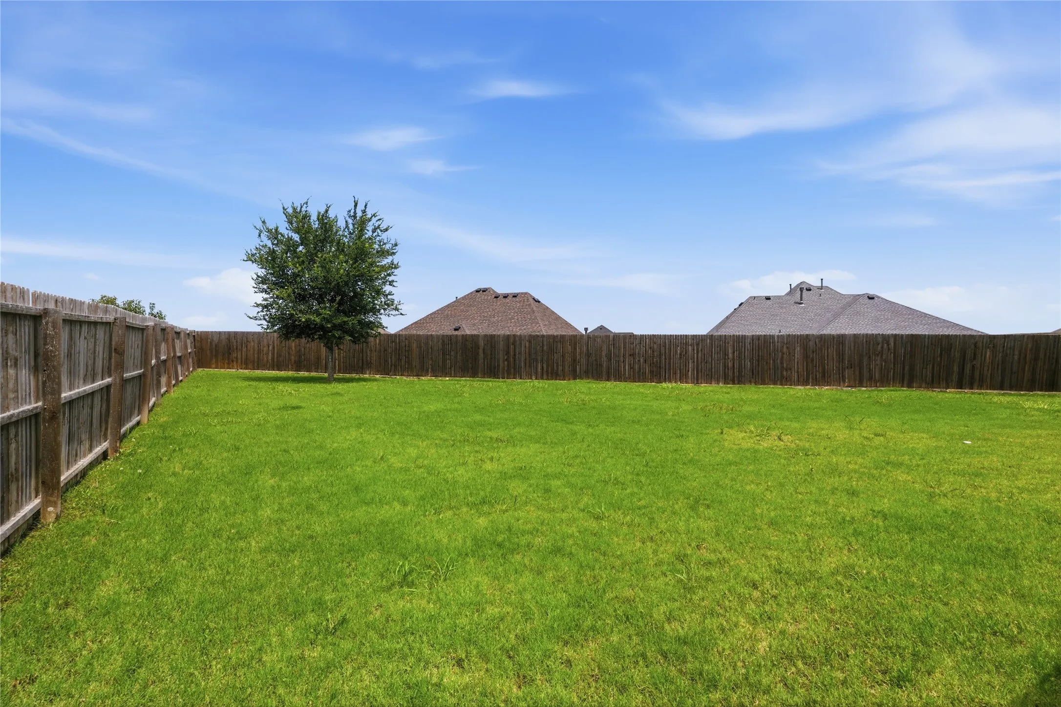 Expansive green backyard featuring a privacy fence, mature tree, and open lawn space
