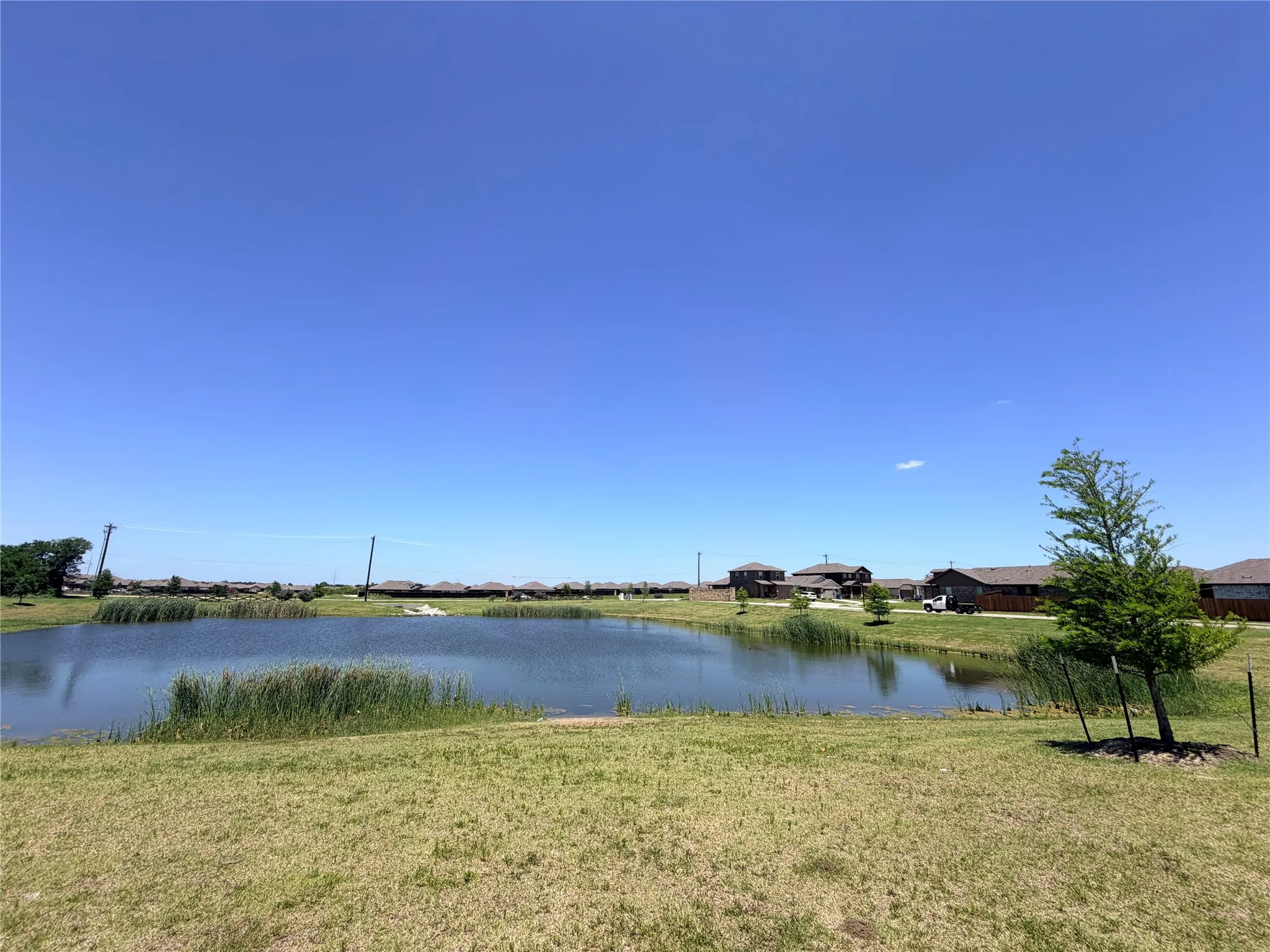 Expansive pond with reeded edges and surrounding grassy areas, featuring a clear sky overhead