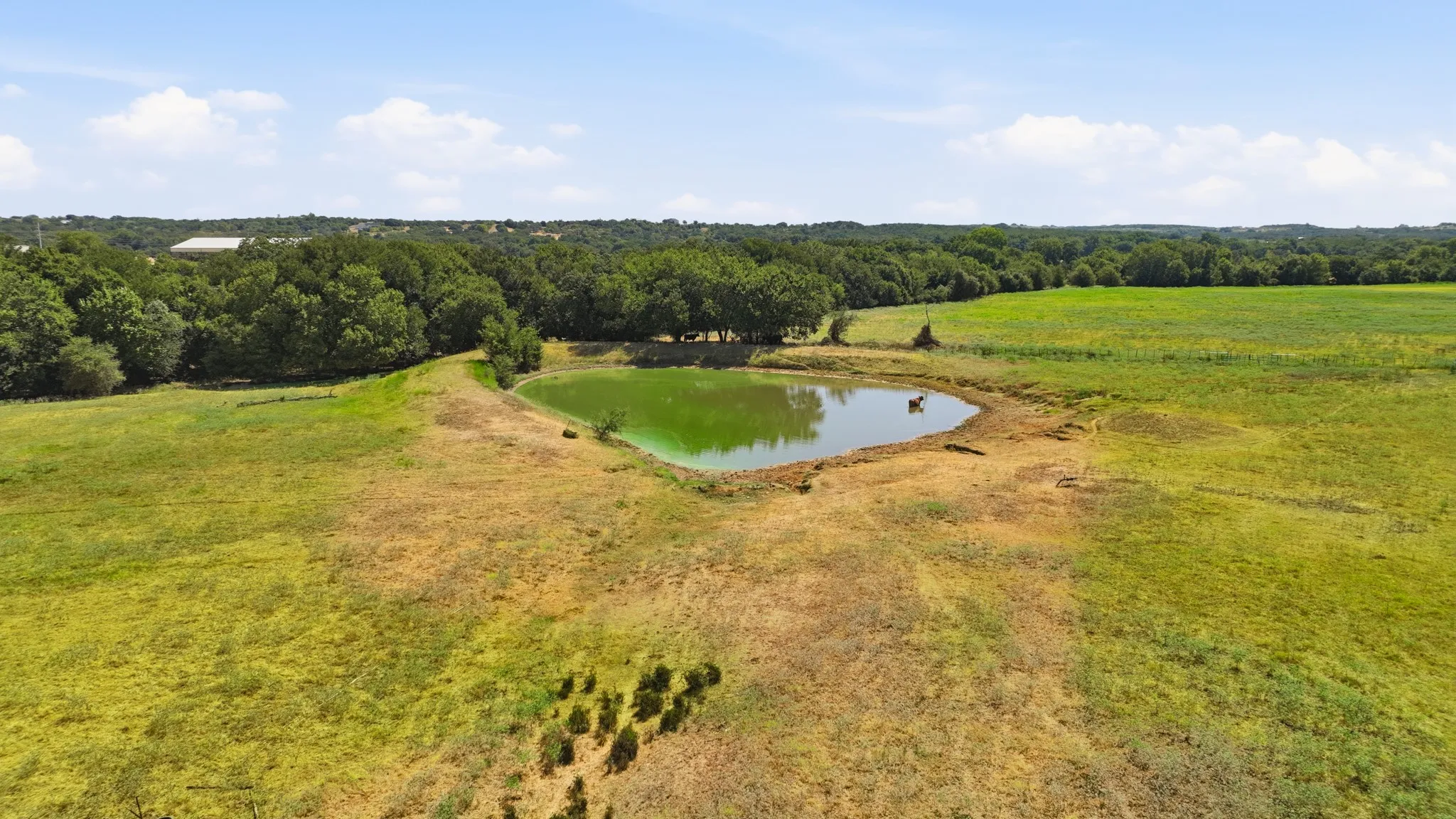 Farm For Sale in Parker County , 3401 FM 1189 Road A, Brock, Texas 76087, 5 Bedroom, 4 Bathroom, Garage spaces, 4,725 Sqft, built in 2009, mls#21277341, Real Estate Agent in Brock, Homes For Sale in Parker county, Homes For Sale in Brock, Realtor in Brock Texas, Real Estate Brokerage Independent Realty Texas, Luminita Cordes Realtor
