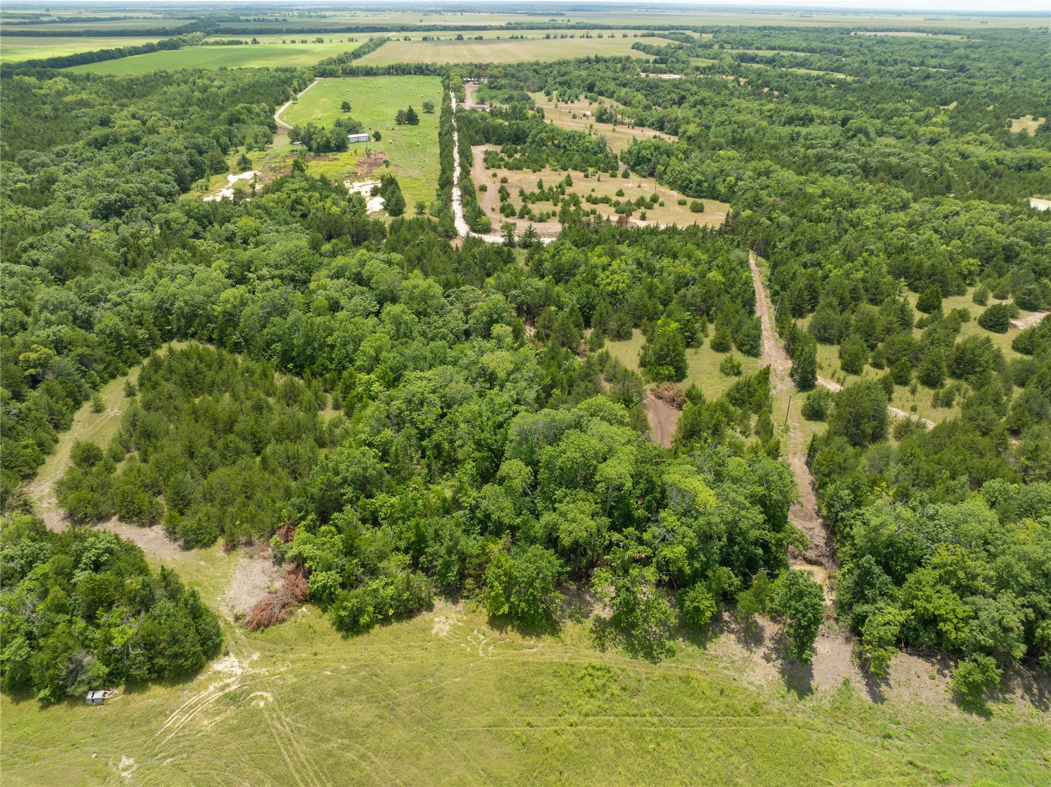 Unimproved Land For Sale in Fannin County , TBD Tract 2 PR Guthrie, Honey Grove, Texas 75446, 0, 0, Garage spaces, 0 Sqft, built in 0, Price $102,900, mls#21286878, Real Estate Agent in Honey Grove, Homes For Sale in Fannin county, Homes For Sale in Honey Grove, Realtor in Honey Grove Texas, Real Estate Brokerage Independent Realty Texas, Luminita Cordes Realtor