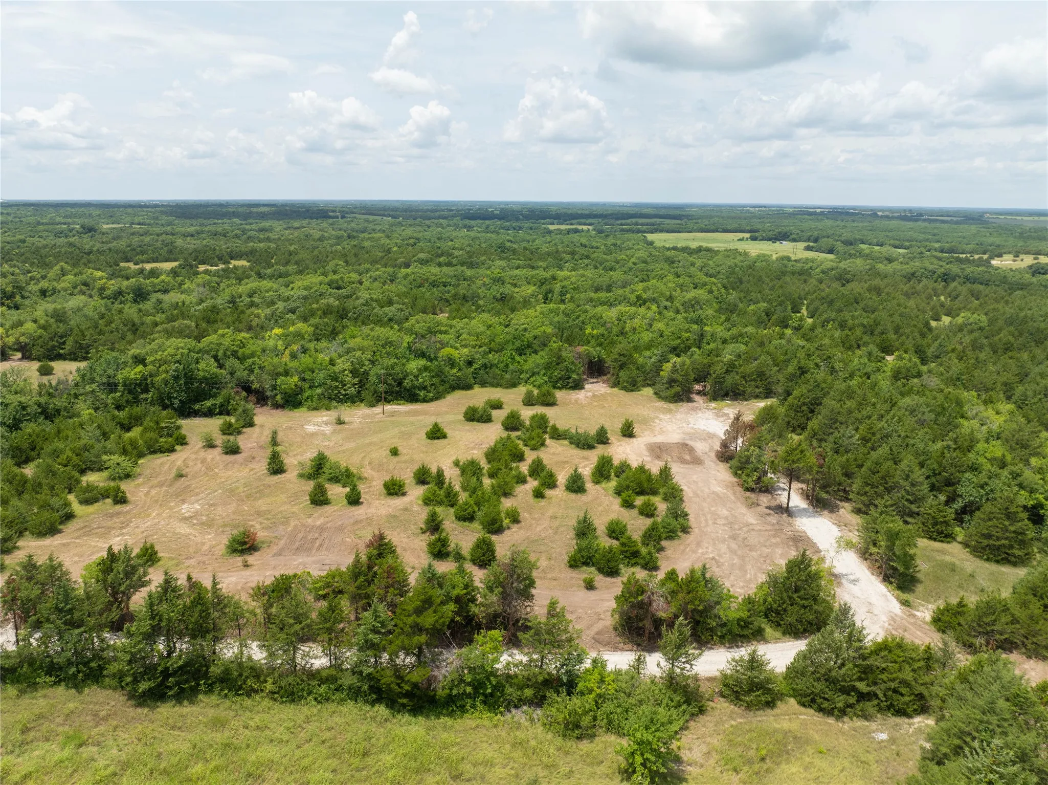 Unimproved Land For Sale in Fannin County , TBD Tract 2 PR Guthrie, Honey Grove, Texas 75446, 0, 0, Garage spaces, 0 Sqft, built in 0, Price $102,900, mls#21286878, Real Estate Agent in Honey Grove, Homes For Sale in Fannin county, Homes For Sale in Honey Grove, Realtor in Honey Grove Texas, Real Estate Brokerage Independent Realty Texas, Luminita Cordes Realtor