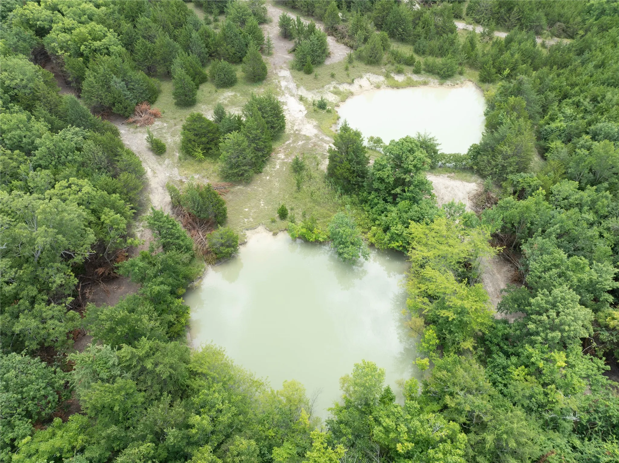 Unimproved Land For Sale in Fannin County , TBD Tract 3 PR Guthrie, Honey Grove, Texas 75446, 0, 0, Garage spaces, 0 Sqft, built in 0, Price $136,900, mls#21286880, Real Estate Agent in Honey Grove, Homes For Sale in Fannin county, Homes For Sale in Honey Grove, Realtor in Honey Grove Texas, Real Estate Brokerage Independent Realty Texas, Luminita Cordes Realtor