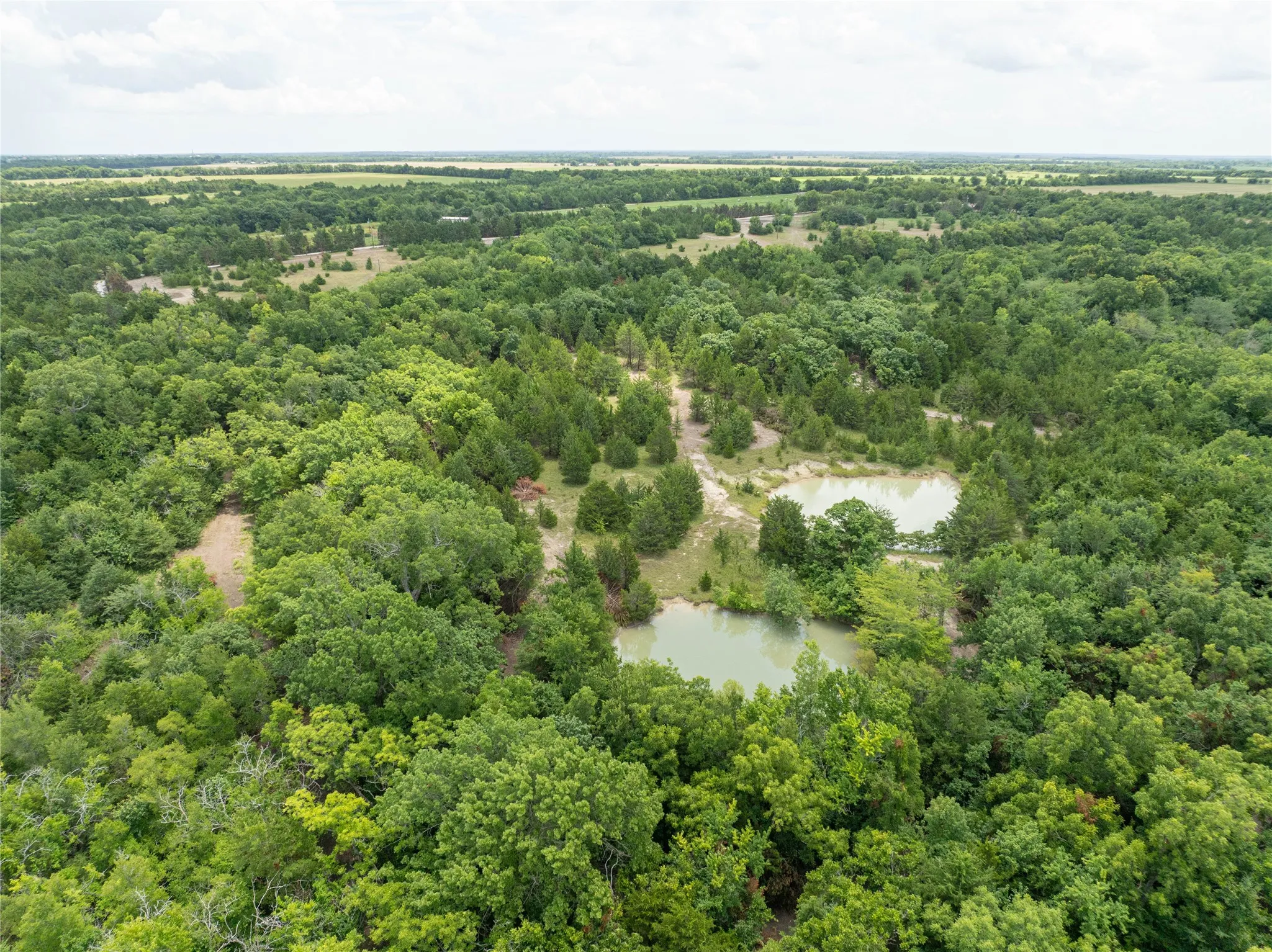 Unimproved Land For Sale in Fannin County , TBD Tract 3 PR Guthrie, Honey Grove, Texas 75446, 0, 0, Garage spaces, 0 Sqft, built in 0, Price $136,900, mls#21286880, Real Estate Agent in Honey Grove, Homes For Sale in Fannin county, Homes For Sale in Honey Grove, Realtor in Honey Grove Texas, Real Estate Brokerage Independent Realty Texas, Luminita Cordes Realtor