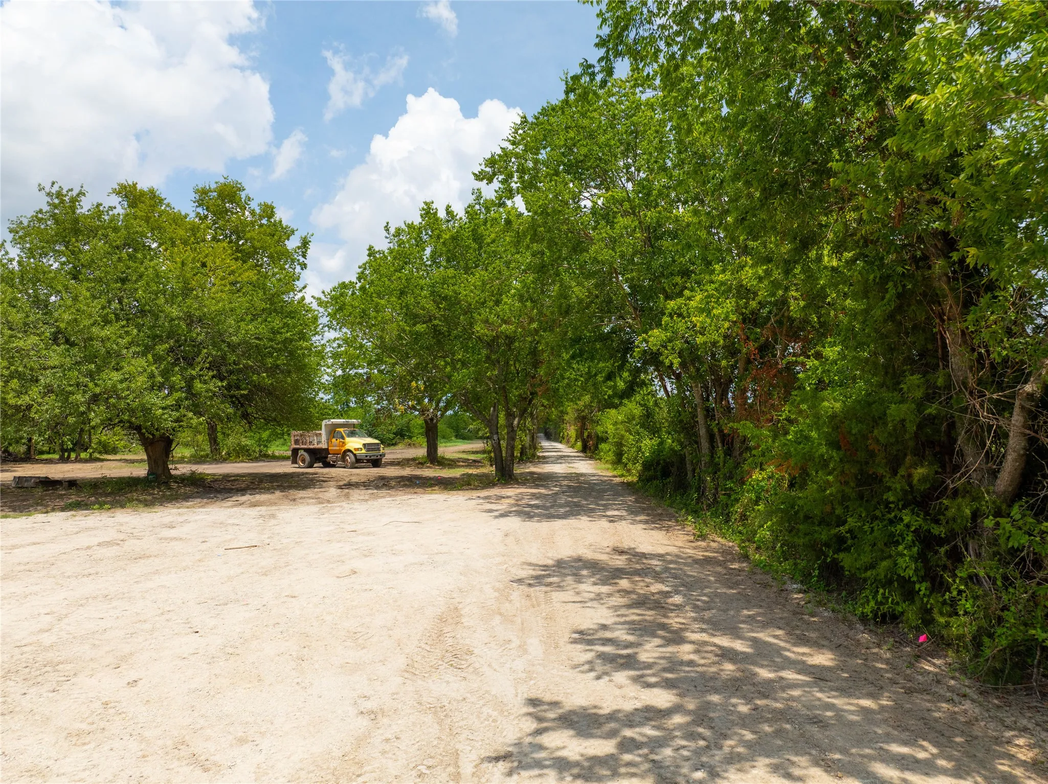 Unimproved Land For Sale in Fannin County , TBD Tract 7 PR Guthrie, Honey Grove, Texas 75446, 0, 0, Garage spaces, 0 Sqft, built in 0, mls#21286882, Real Estate Agent in Honey Grove, Homes For Sale in Fannin county, Homes For Sale in Honey Grove, Realtor in Honey Grove Texas, Real Estate Brokerage Independent Realty Texas, Luminita Cordes Realtor