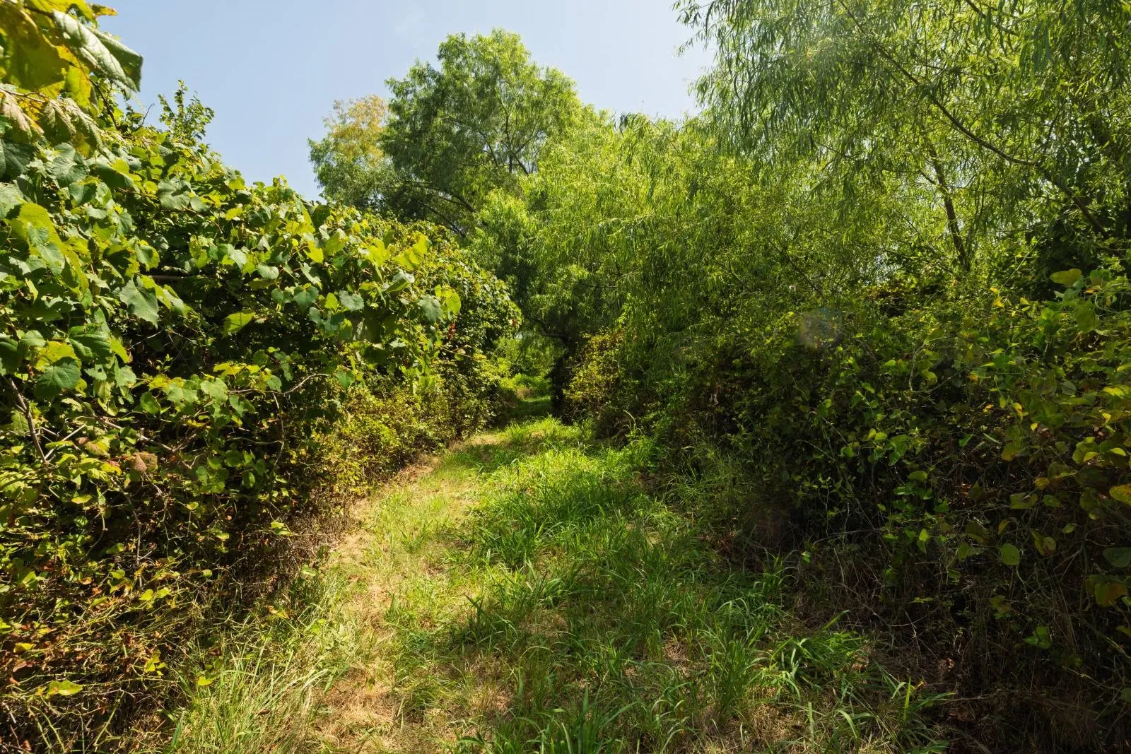 Farm For Sale in Montague County , 10628 FM 1125 Highway, Bowie, Texas 76230, 3 Bedrooms, 3 Bathrooms, Garage spaces, 3,330 Sqft, built in 1975, Price $1,475,000, mls#21286860, Real Estate Agent in Bowie, Homes For Sale in Montague county, Homes For Sale in Bowie, Realtor in Bowie Texas, Real Estate Brokerage Independent Realty Texas, Luminita Cordes Realtor