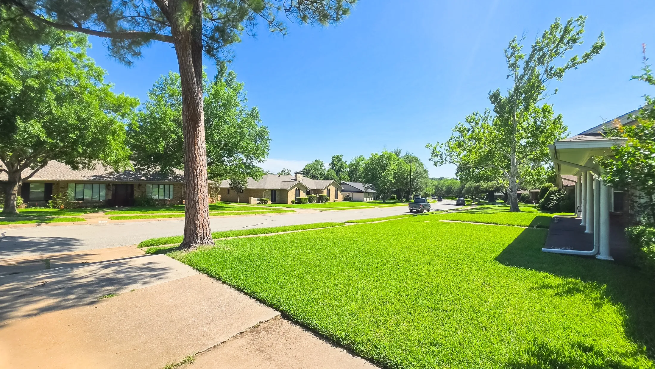 Expansive front lawn with mature shade trees and concrete driveway