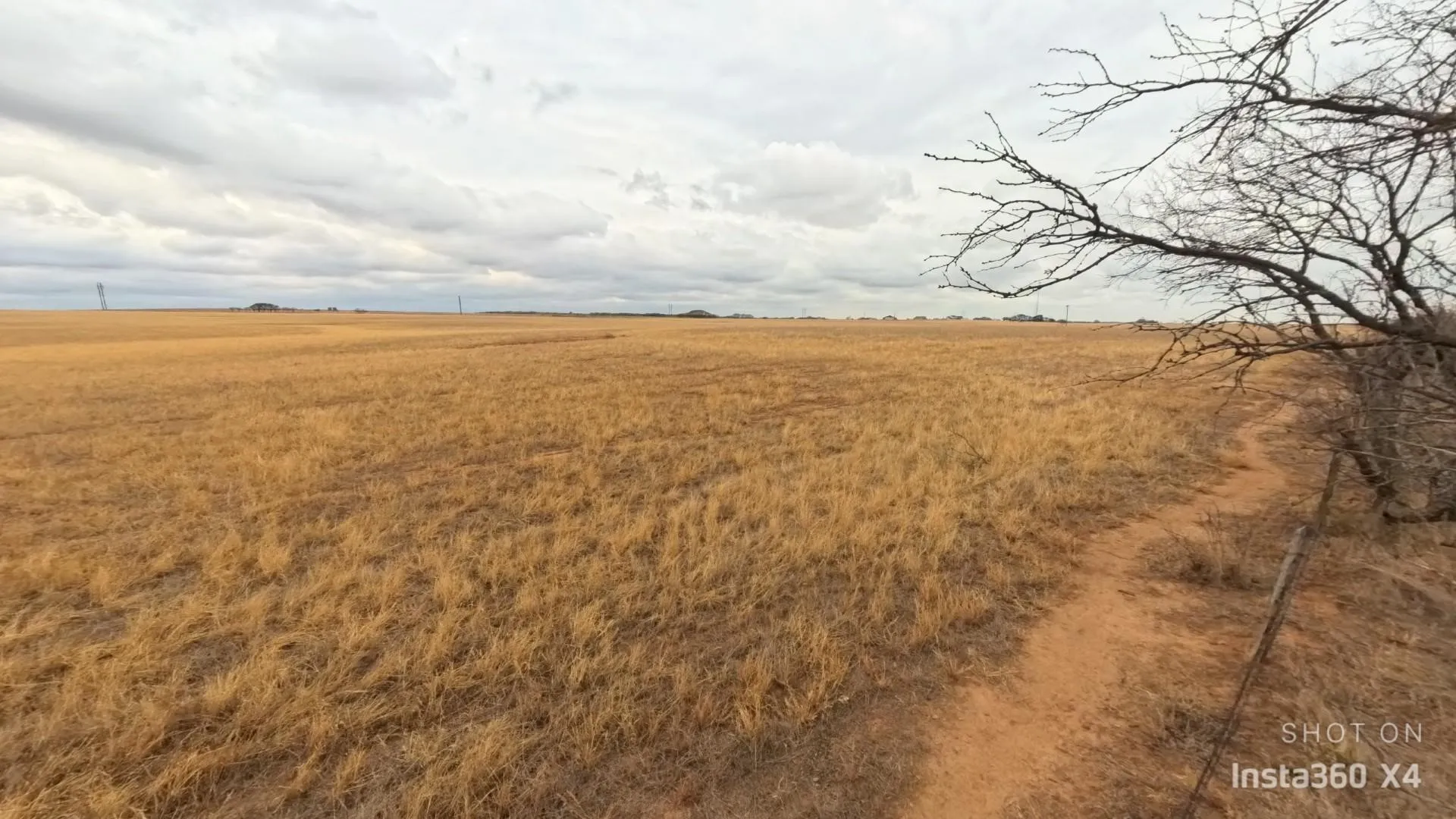 Unimproved Land For Sale in Wichita County , TDB Daniels Road, Burkburnett, Texas 76354, 0, 0, Garage spaces, 0 Sqft, built in 0, Price $150,000, mls#21286914, Real Estate Agent in Burkburnett, Homes For Sale in Wichita county, Homes For Sale in Burkburnett, Realtor in Burkburnett Texas, Real Estate Brokerage Independent Realty Texas, Luminita Cordes Realtor