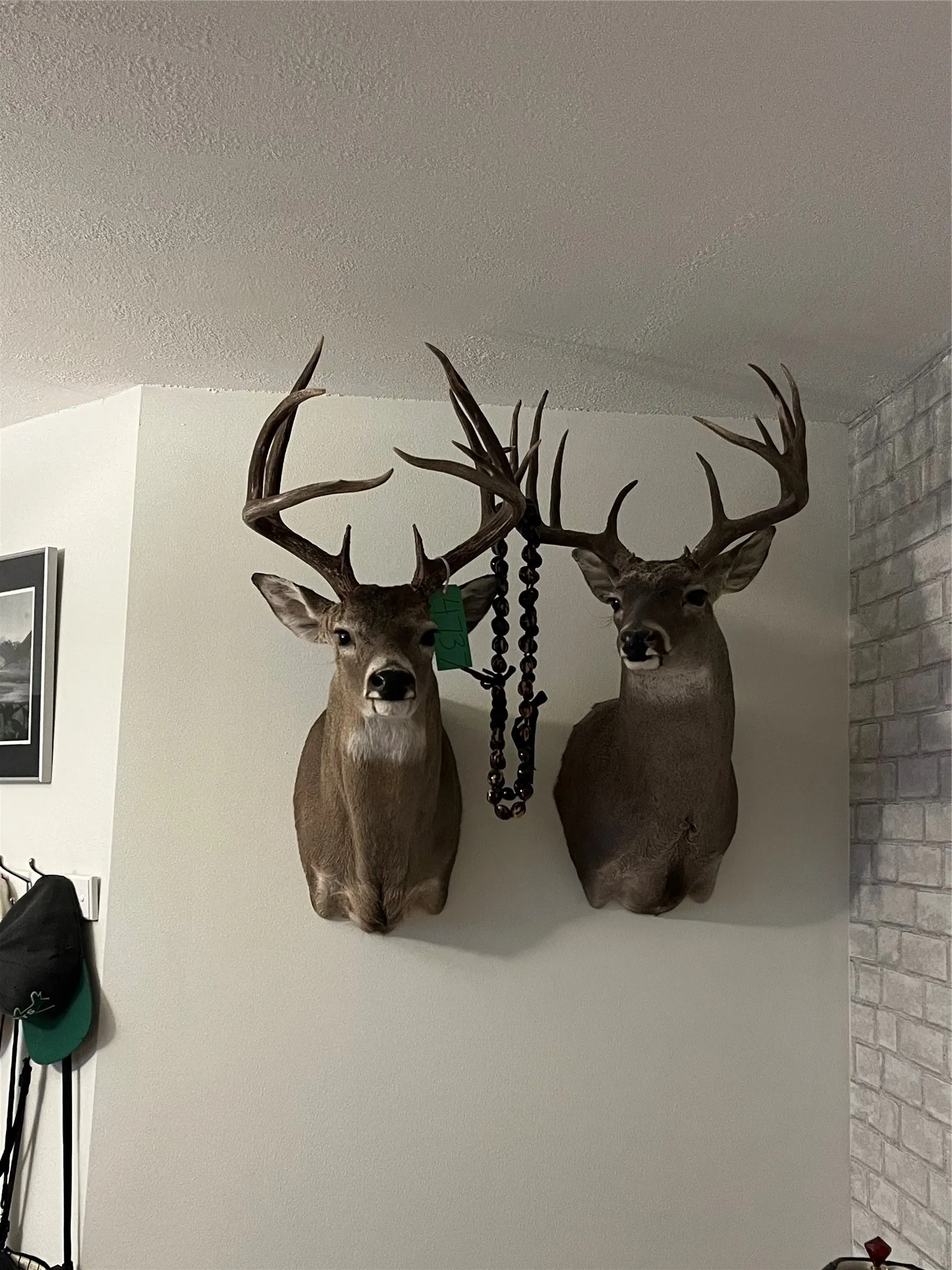 Ranch For Sale in Nolan County , TBD 200 County Road 220, No City, Texas 79566, 0, 0, Garage spaces, 0 Sqft, built in 0, mls#21286983, Real Estate Agent in No City, Homes For Sale in Nolan county, Homes For Sale in No City, Realtor in No City Texas, Real Estate Brokerage Independent Realty Texas, Luminita Cordes Realtor