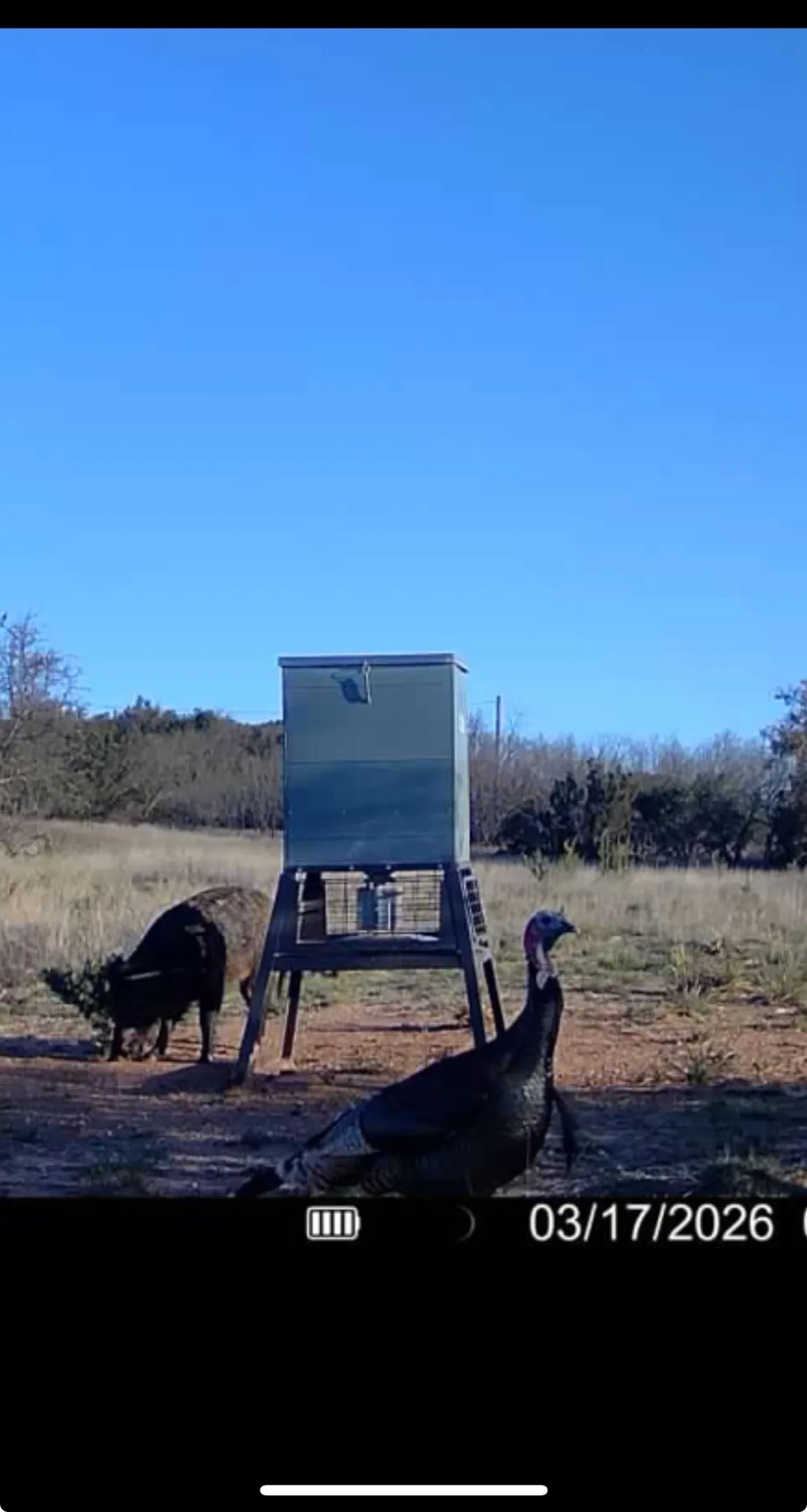 Ranch For Sale in Nolan County , TBD 200 County Road 220, No City, Texas 79566, 0, 0, Garage spaces, 0 Sqft, built in 0, mls#21286983, Real Estate Agent in No City, Homes For Sale in Nolan county, Homes For Sale in No City, Realtor in No City Texas, Real Estate Brokerage Independent Realty Texas, Luminita Cordes Realtor