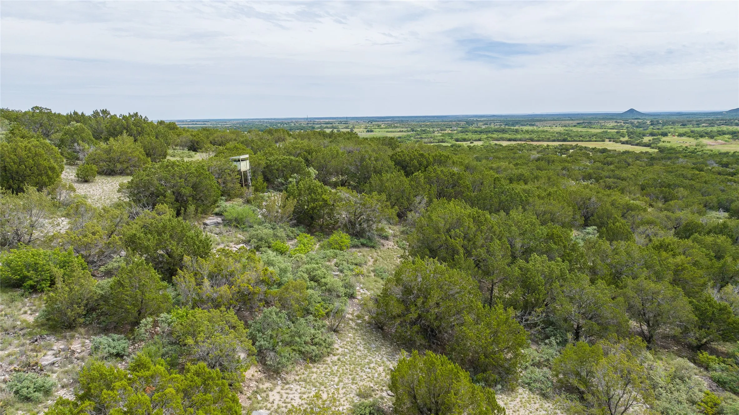 Ranch For Sale in Nolan County , TBD 200 County Road 220, No City, Texas 79566, 0, 0, Garage spaces, 0 Sqft, built in 0, mls#21286983, Real Estate Agent in No City, Homes For Sale in Nolan county, Homes For Sale in No City, Realtor in No City Texas, Real Estate Brokerage Independent Realty Texas, Luminita Cordes Realtor