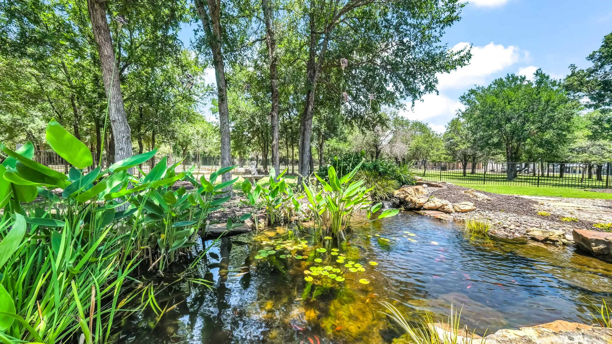 Another view of natural greenery and koi pond.