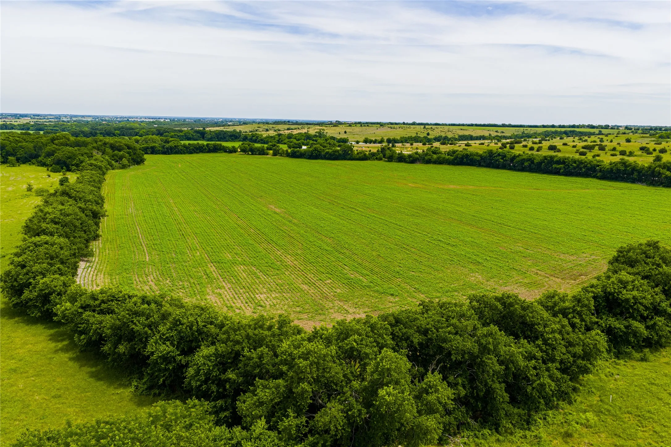 Ranch For Sale in Johnson County , 3900 W Highway 67, Cleburne, Texas 76033, 0, 0, Garage spaces, 0 Sqft, built in 0, Price $20,013,360, mls#21287040, Real Estate Agent in Cleburne, Homes For Sale in Johnson county, Homes For Sale in Cleburne, Realtor in Cleburne Texas, Real Estate Brokerage Independent Realty Texas, Luminita Cordes Realtor
