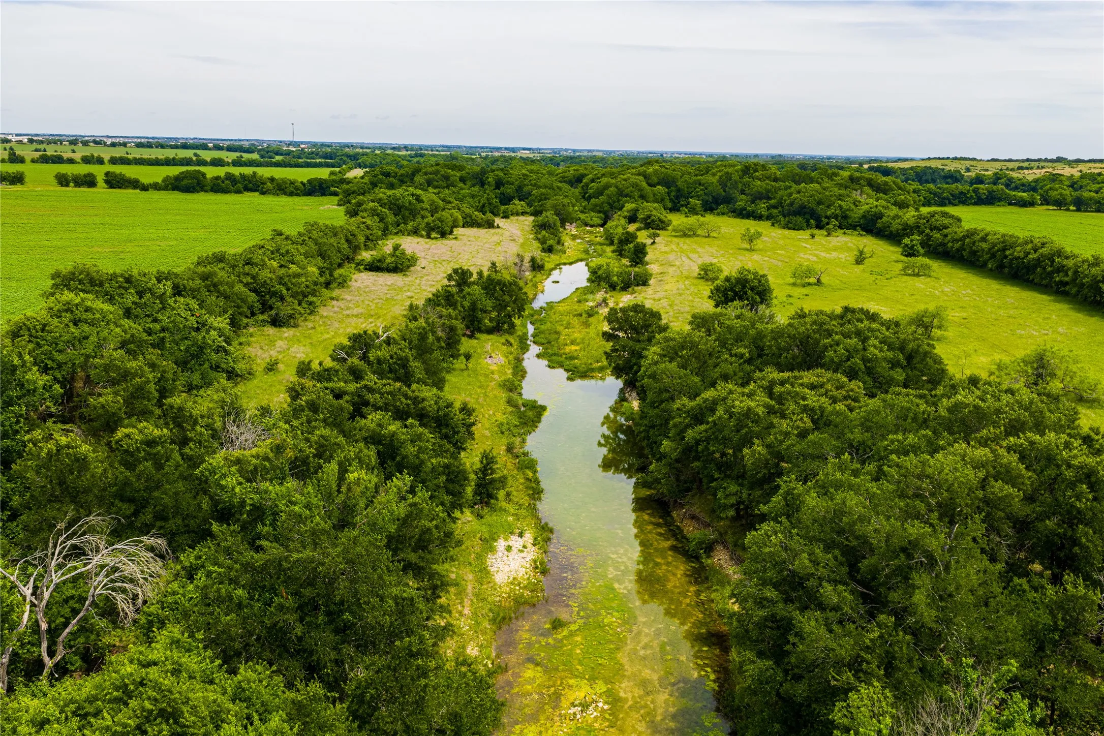 Ranch For Sale in Johnson County , 3900 W Highway 67, Cleburne, Texas 76033, 0, 0, Garage spaces, 0 Sqft, built in 0, Price $20,013,360, mls#21287040, Real Estate Agent in Cleburne, Homes For Sale in Johnson county, Homes For Sale in Cleburne, Realtor in Cleburne Texas, Real Estate Brokerage Independent Realty Texas, Luminita Cordes Realtor
