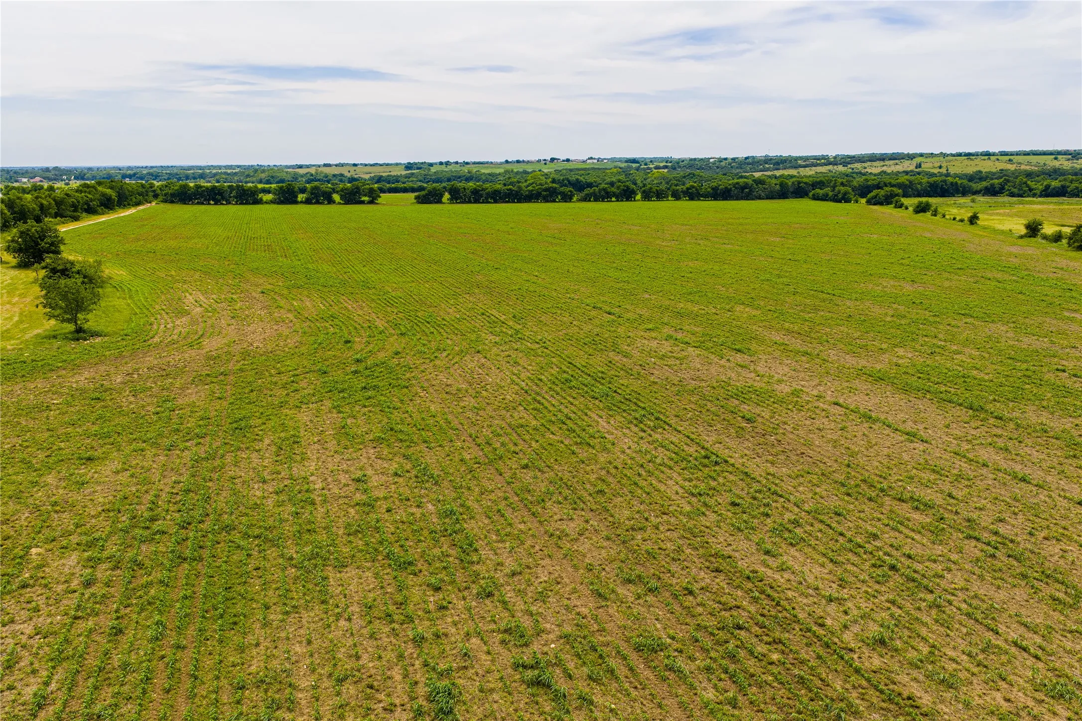 Ranch For Sale in Johnson County , 3900 W Highway 67, Cleburne, Texas 76033, 0, 0, Garage spaces, 0 Sqft, built in 0, Price $20,013,360, mls#21287040, Real Estate Agent in Cleburne, Homes For Sale in Johnson county, Homes For Sale in Cleburne, Realtor in Cleburne Texas, Real Estate Brokerage Independent Realty Texas, Luminita Cordes Realtor