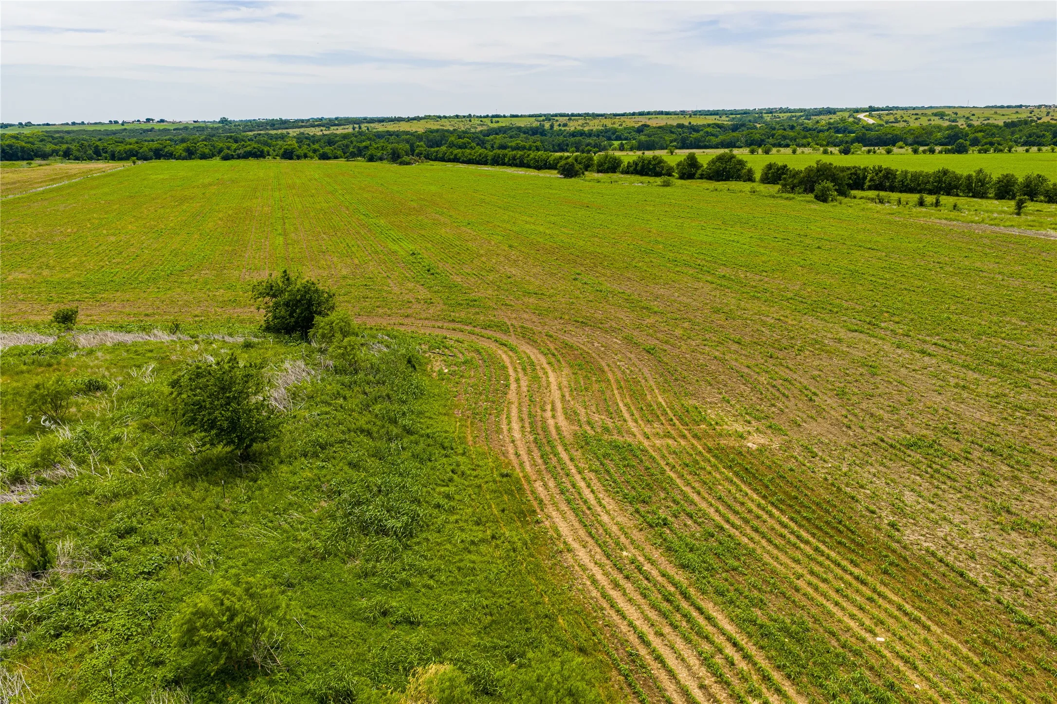 Ranch For Sale in Johnson County , 3900 W Highway 67, Cleburne, Texas 76033, 0, 0, Garage spaces, 0 Sqft, built in 0, Price $20,013,360, mls#21287040, Real Estate Agent in Cleburne, Homes For Sale in Johnson county, Homes For Sale in Cleburne, Realtor in Cleburne Texas, Real Estate Brokerage Independent Realty Texas, Luminita Cordes Realtor