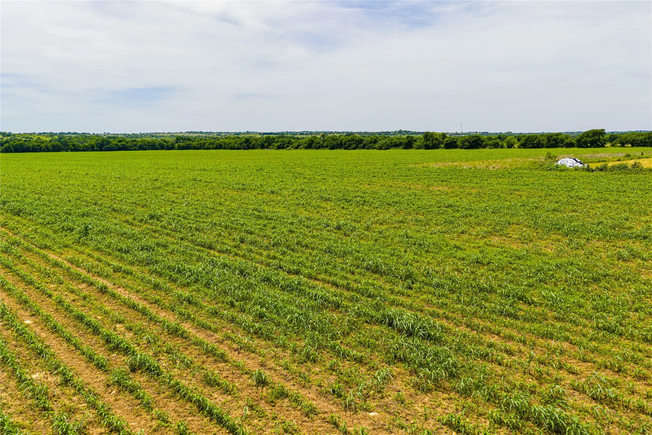 Ranch For Sale in Johnson County , 3900 W Highway 67, Cleburne, Texas 76033, 0, 0, Garage spaces, 0 Sqft, built in 0, Price $20,013,360, mls#21287040, Real Estate Agent in Cleburne, Homes For Sale in Johnson county, Homes For Sale in Cleburne, Realtor in Cleburne Texas, Real Estate Brokerage Independent Realty Texas, Luminita Cordes Realtor