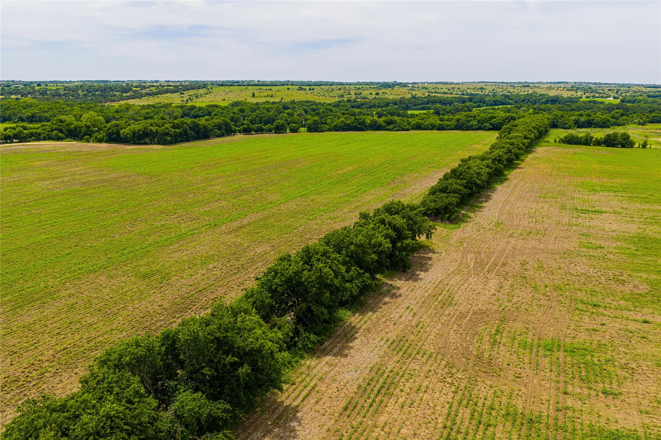 Ranch For Sale in Johnson County , 3900 W Highway 67, Cleburne, Texas 76033, 0, 0, Garage spaces, 0 Sqft, built in 0, Price $20,013,360, mls#21287040, Real Estate Agent in Cleburne, Homes For Sale in Johnson county, Homes For Sale in Cleburne, Realtor in Cleburne Texas, Real Estate Brokerage Independent Realty Texas, Luminita Cordes Realtor