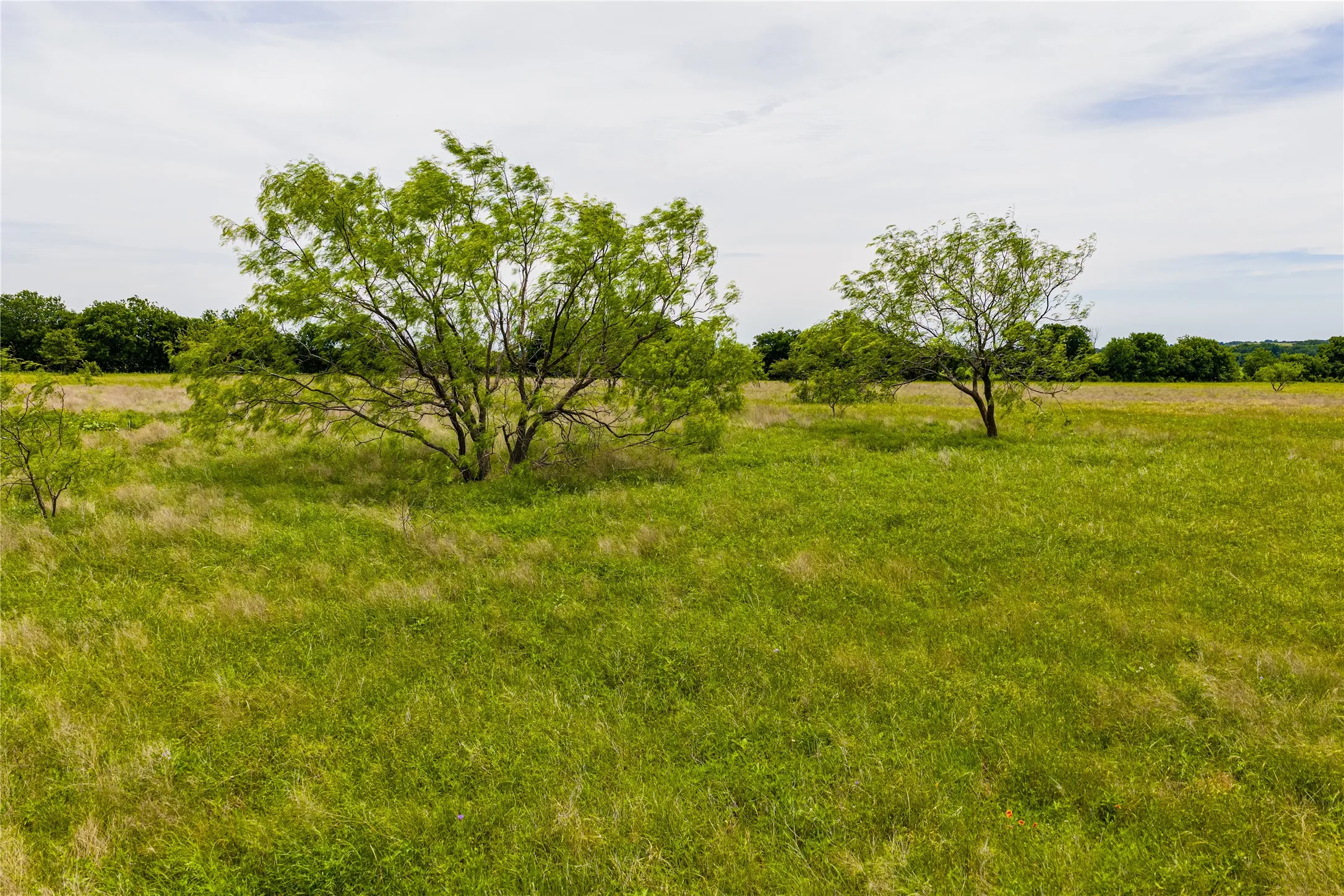 Ranch For Sale in Johnson County , 3900 W Highway 67, Cleburne, Texas 76033, 0, 0, Garage spaces, 0 Sqft, built in 0, Price $20,013,360, mls#21287040, Real Estate Agent in Cleburne, Homes For Sale in Johnson county, Homes For Sale in Cleburne, Realtor in Cleburne Texas, Real Estate Brokerage Independent Realty Texas, Luminita Cordes Realtor