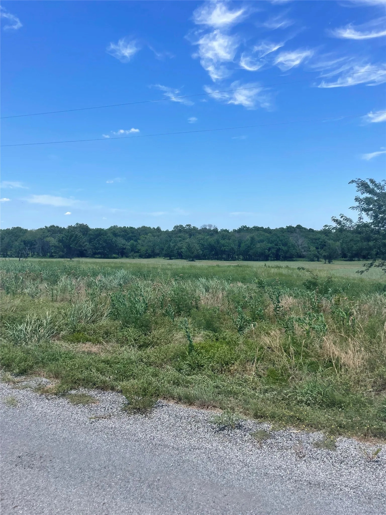 Unimproved Land For Sale in Cooke County , Lot 20 Private Rd. 4000, Gainesville, Texas 76240, 0, 0, Garage spaces, 0 Sqft, built in 0, Price $125,000, mls#21287075, Real Estate Agent in Gainesville, Homes For Sale in Cooke county, Homes For Sale in Gainesville, Realtor in Gainesville Texas, Real Estate Brokerage Independent Realty Texas, Luminita Cordes Realtor