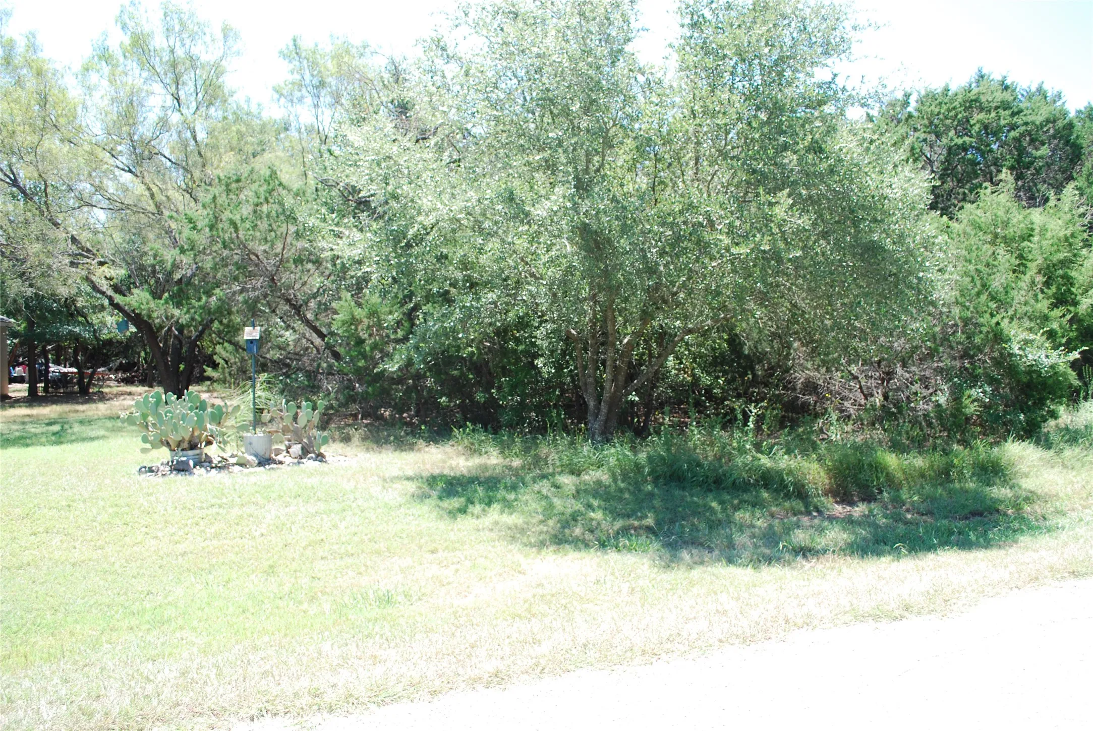Unimproved Land For Sale in Hill County , 44155 Whisperwood Drive, Whitney, Texas 76692, 0, 0, Garage spaces, 0 Sqft, built in 0, Price $10,900, mls#21286706, Real Estate Agent in Whitney, Homes For Sale in Hill county, Homes For Sale in Whitney, Realtor in Whitney Texas, Real Estate Brokerage Independent Realty Texas, Luminita Cordes Realtor