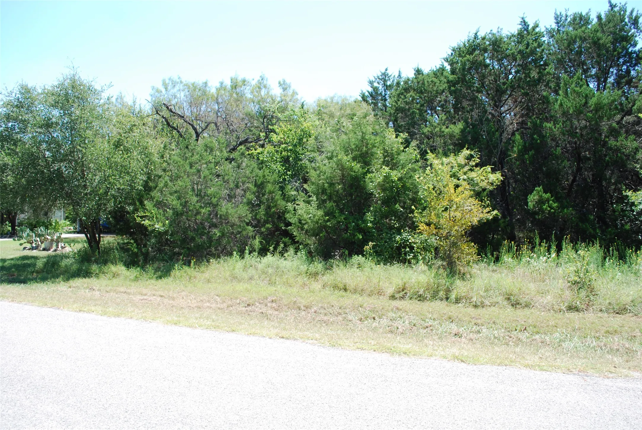 Unimproved Land For Sale in Hill County , 44155 Whisperwood Drive, Whitney, Texas 76692, 0, 0, Garage spaces, 0 Sqft, built in 0, Price $10,900, mls#21286706, Real Estate Agent in Whitney, Homes For Sale in Hill county, Homes For Sale in Whitney, Realtor in Whitney Texas, Real Estate Brokerage Independent Realty Texas, Luminita Cordes Realtor