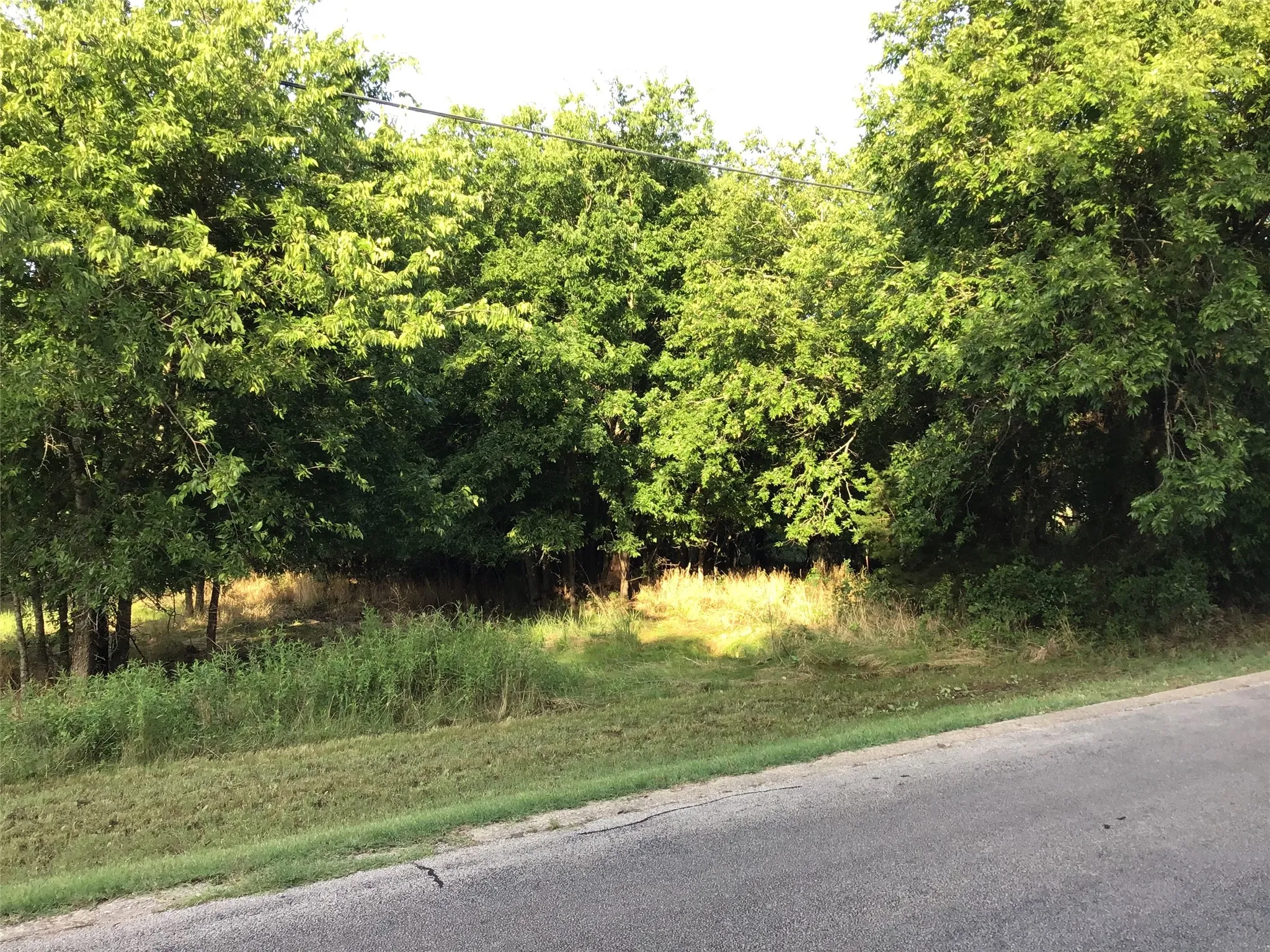 Unimproved Land For Sale in Hill County , 44155 Whisperwood Drive, Whitney, Texas 76692, 0, 0, Garage spaces, 0 Sqft, built in 0, Price $10,900, mls#21286706, Real Estate Agent in Whitney, Homes For Sale in Hill county, Homes For Sale in Whitney, Realtor in Whitney Texas, Real Estate Brokerage Independent Realty Texas, Luminita Cordes Realtor