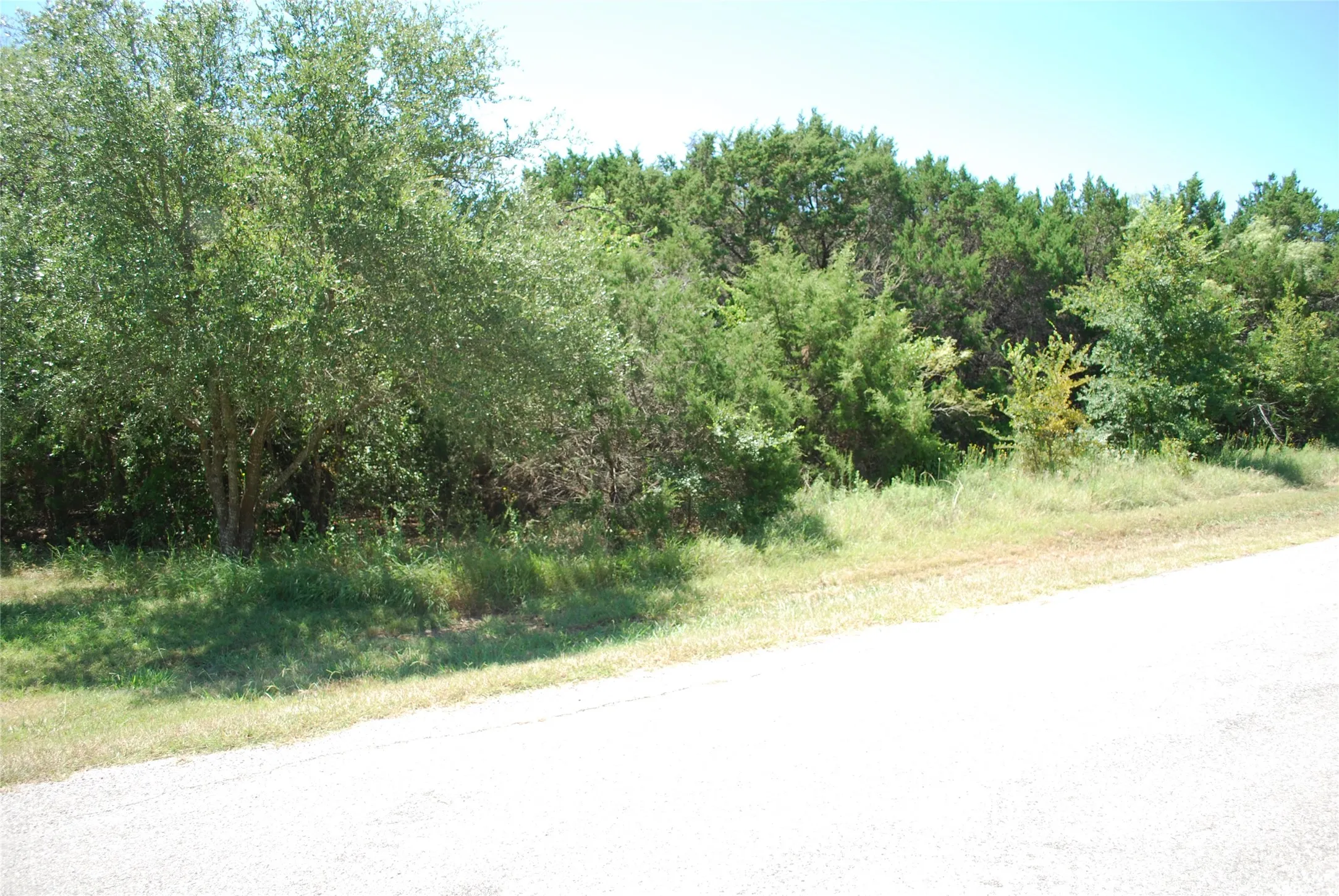 Unimproved Land For Sale in Hill County , 44155 Whisperwood Drive, Whitney, Texas 76692, 0, 0, Garage spaces, 0 Sqft, built in 0, Price $10,900, mls#21286706, Real Estate Agent in Whitney, Homes For Sale in Hill county, Homes For Sale in Whitney, Realtor in Whitney Texas, Real Estate Brokerage Independent Realty Texas, Luminita Cordes Realtor
