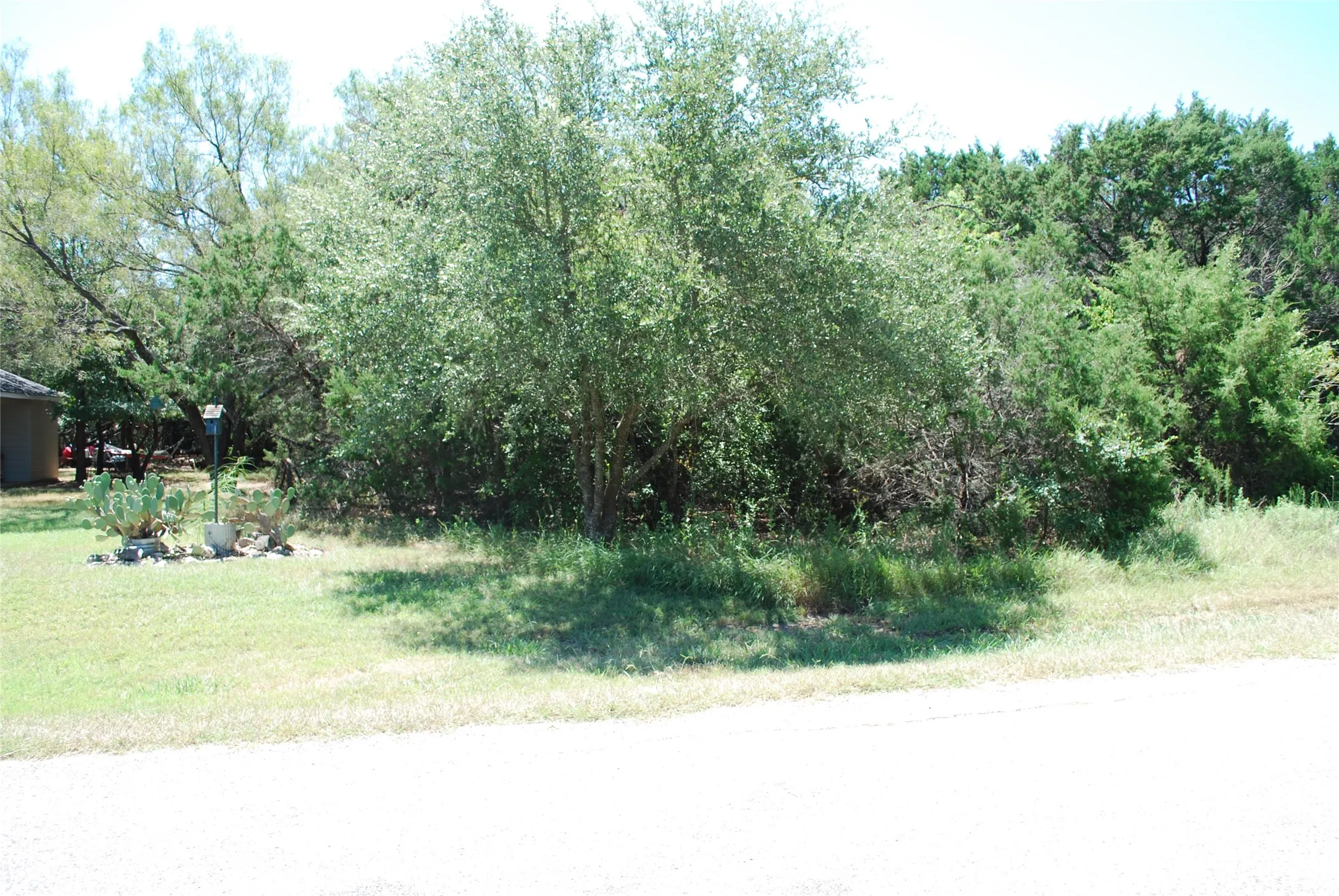 Unimproved Land For Sale in Hill County , 44155 Whisperwood Drive, Whitney, Texas 76692, 0, 0, Garage spaces, 0 Sqft, built in 0, Price $10,900, mls#21286706, Real Estate Agent in Whitney, Homes For Sale in Hill county, Homes For Sale in Whitney, Realtor in Whitney Texas, Real Estate Brokerage Independent Realty Texas, Luminita Cordes Realtor