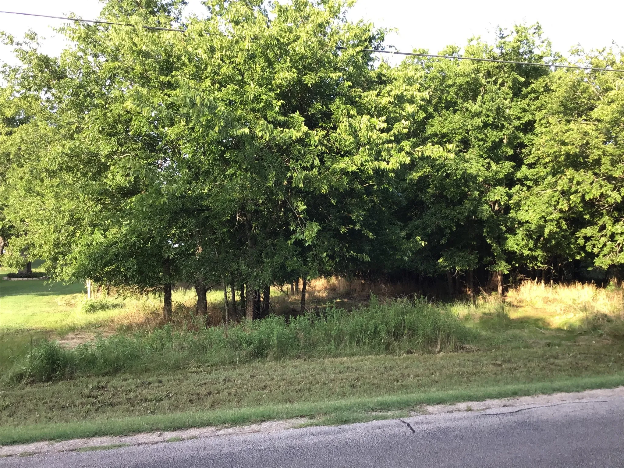 Unimproved Land For Sale in Hill County , 44155 Whisperwood Drive, Whitney, Texas 76692, 0, 0, Garage spaces, 0 Sqft, built in 0, Price $10,900, mls#21286706, Real Estate Agent in Whitney, Homes For Sale in Hill county, Homes For Sale in Whitney, Realtor in Whitney Texas, Real Estate Brokerage Independent Realty Texas, Luminita Cordes Realtor