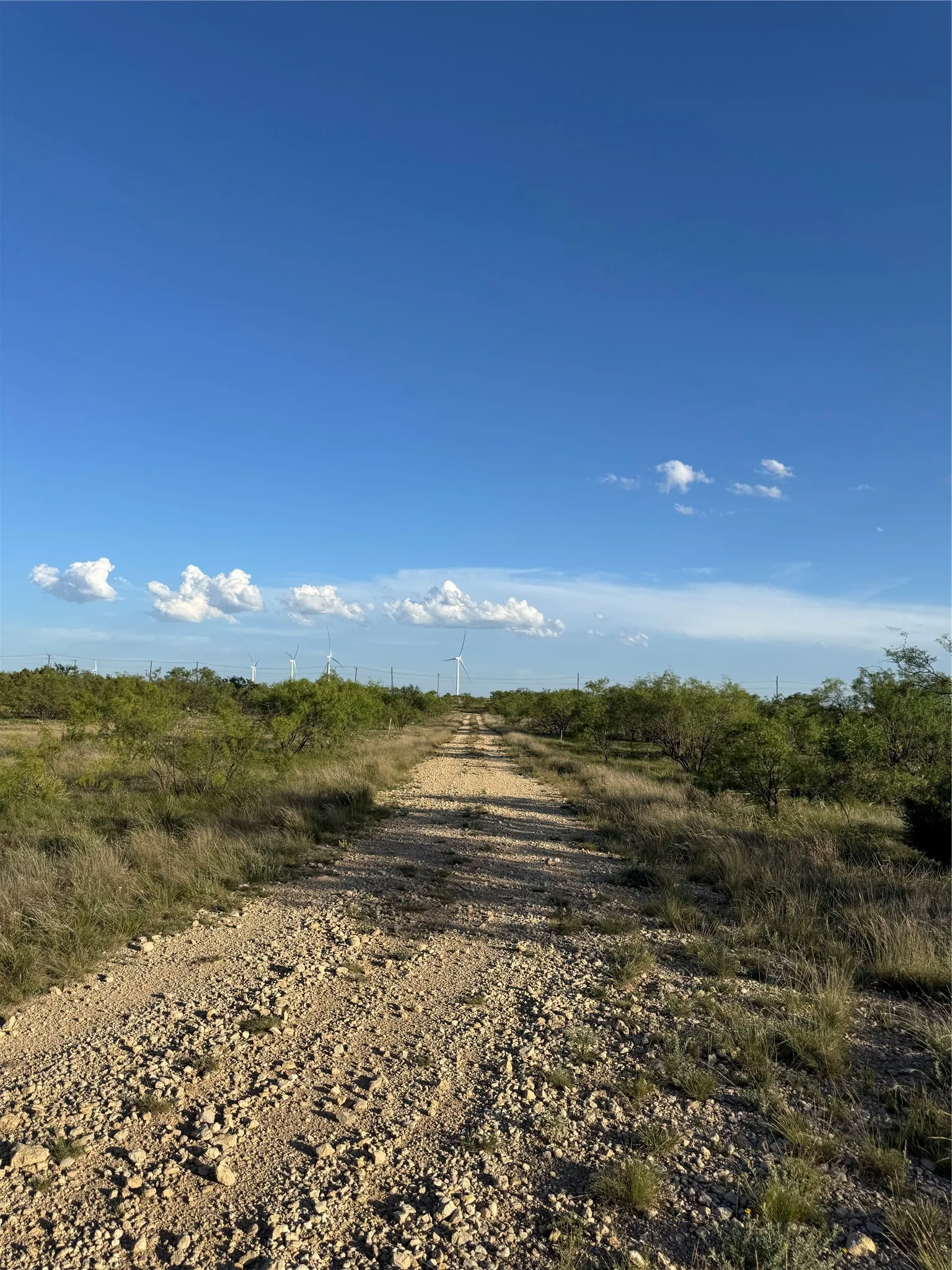 Unimproved Land For Sale in Mitchell County , 16007 I-20, Loraine, Texas 79532, 0, 0, Garage spaces, 0 Sqft, built in 0, mls#21273973, Real Estate Agent in Loraine, Homes For Sale in Mitchell county, Homes For Sale in Loraine, Realtor in Loraine Texas, Real Estate Brokerage Independent Realty Texas, Luminita Cordes Realtor