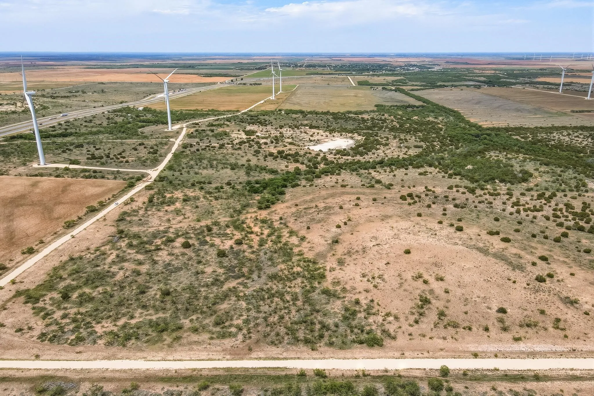 Expansive arid landscape featuring scattered green foliage, a dirt road, and visible wind turbines