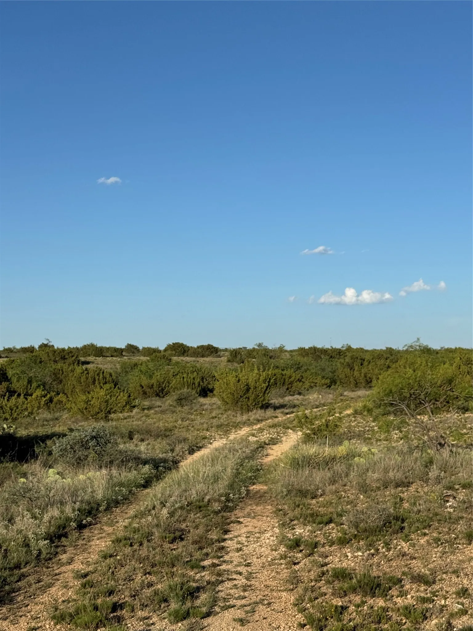 Undeveloped land featuring natural vegetation, a clear blue sky, and a visible dirt track