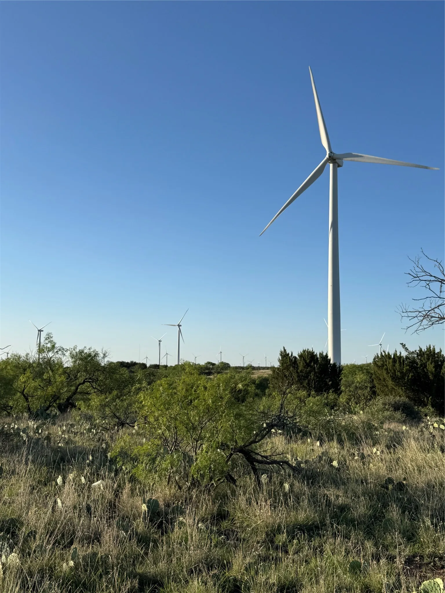 Unimproved Land For Sale in Mitchell County , 16007 I-20, Loraine, Texas 79532, 0, 0, Garage spaces, 0 Sqft, built in 0, mls#21273973, Real Estate Agent in Loraine, Homes For Sale in Mitchell county, Homes For Sale in Loraine, Realtor in Loraine Texas, Real Estate Brokerage Independent Realty Texas, Luminita Cordes Realtor