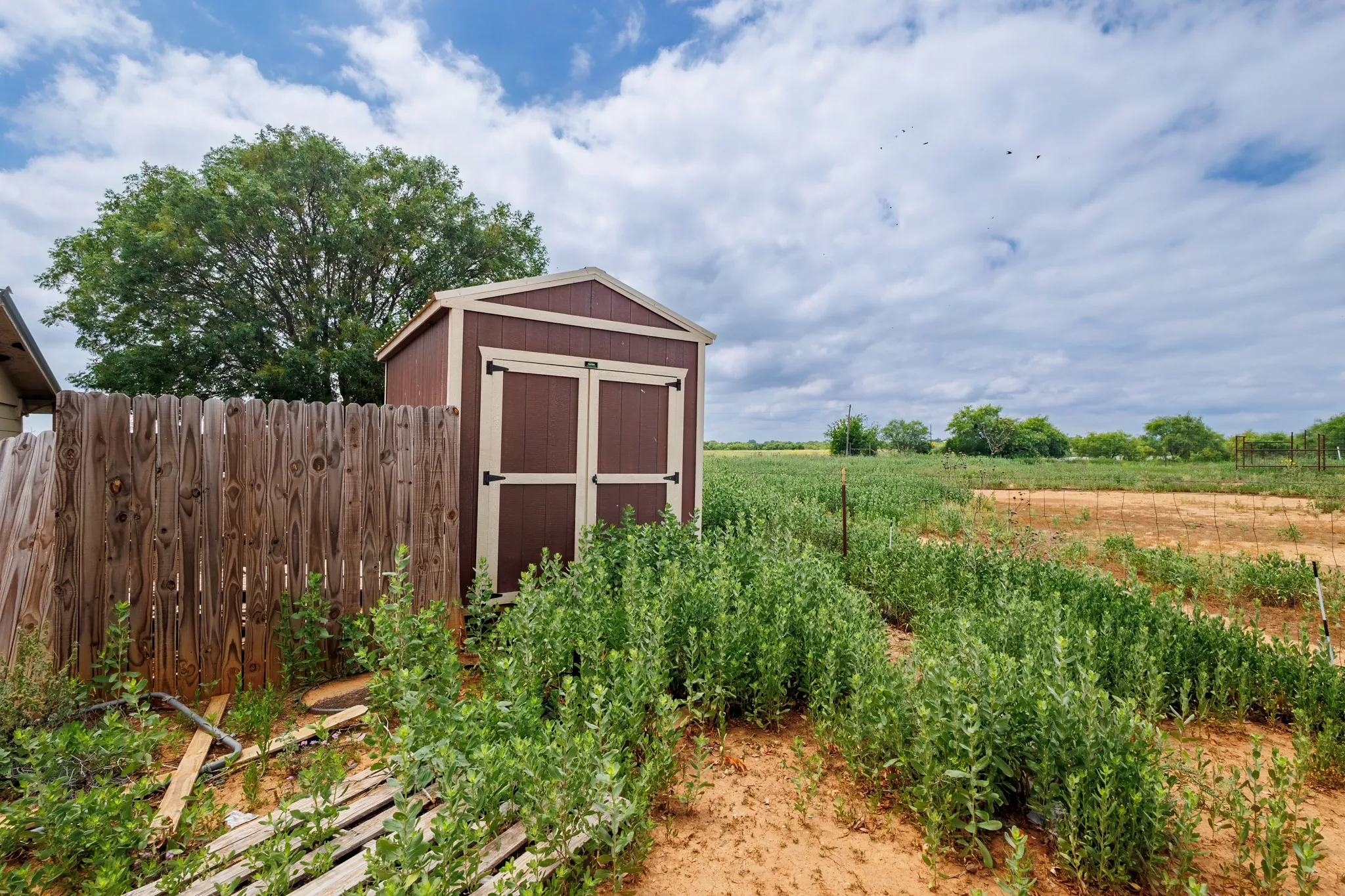 Single Family Residence For Sale in Coleman County , 12759 Fm 1176, Santa Anna, Texas 76878, 4 Bedrooms, 2 Bathrooms, Garage spaces, 2,500 Sqft, built in 1975, Price $145,000, mls#21287289, Real Estate Agent in Santa Anna, Homes For Sale in Coleman county, Homes For Sale in Santa Anna, Realtor in Santa Anna Texas, Real Estate Brokerage Independent Realty Texas, Luminita Cordes Realtor