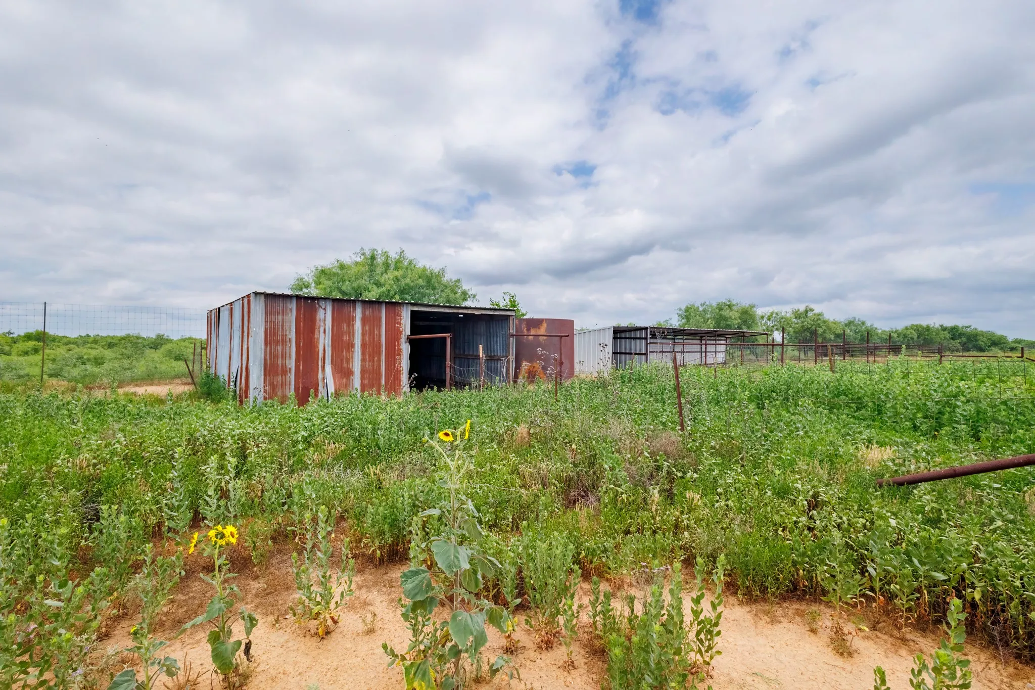 Single Family Residence For Sale in Coleman County , 12759 Fm 1176, Santa Anna, Texas 76878, 4 Bedrooms, 2 Bathrooms, Garage spaces, 2,500 Sqft, built in 1975, Price $145,000, mls#21287289, Real Estate Agent in Santa Anna, Homes For Sale in Coleman county, Homes For Sale in Santa Anna, Realtor in Santa Anna Texas, Real Estate Brokerage Independent Realty Texas, Luminita Cordes Realtor