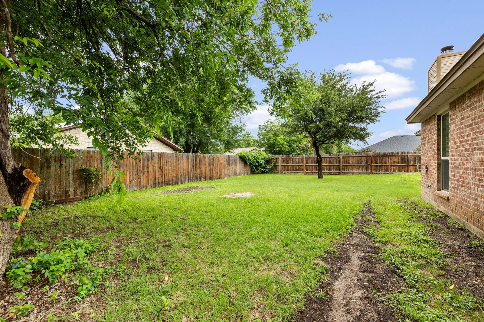 Expansive backyard featuring a mature tree, manicured lawn, and wood privacy fencing