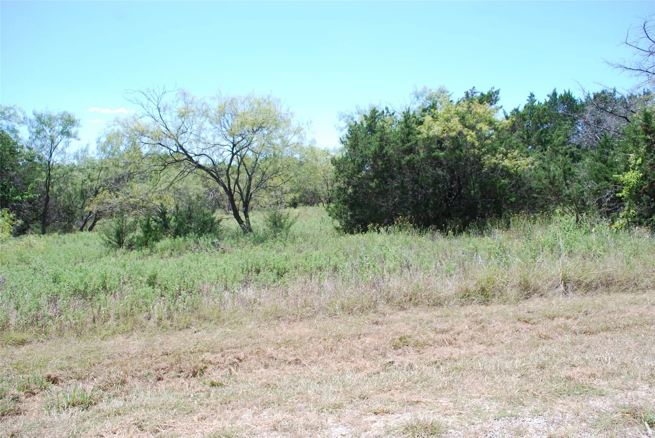 Unimproved Land For Sale in Hill County , 43131 Mountain Sage Drive, Whitney, Texas 76692, 0, 0, Garage spaces, 0 Sqft, built in 0, Price $11,900, mls#21286662, Real Estate Agent in Whitney, Homes For Sale in Hill county, Homes For Sale in Whitney, Realtor in Whitney Texas, Real Estate Brokerage Independent Realty Texas, Luminita Cordes Realtor