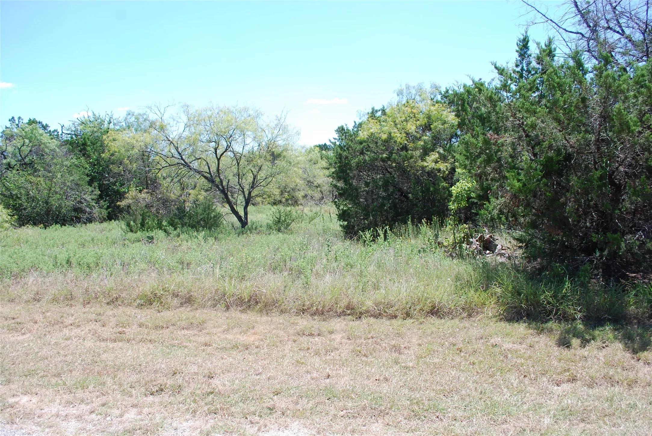 Unimproved Land For Sale in Hill County , 43131 Mountain Sage Drive, Whitney, Texas 76692, 0, 0, Garage spaces, 0 Sqft, built in 0, Price $11,900, mls#21286662, Real Estate Agent in Whitney, Homes For Sale in Hill county, Homes For Sale in Whitney, Realtor in Whitney Texas, Real Estate Brokerage Independent Realty Texas, Luminita Cordes Realtor