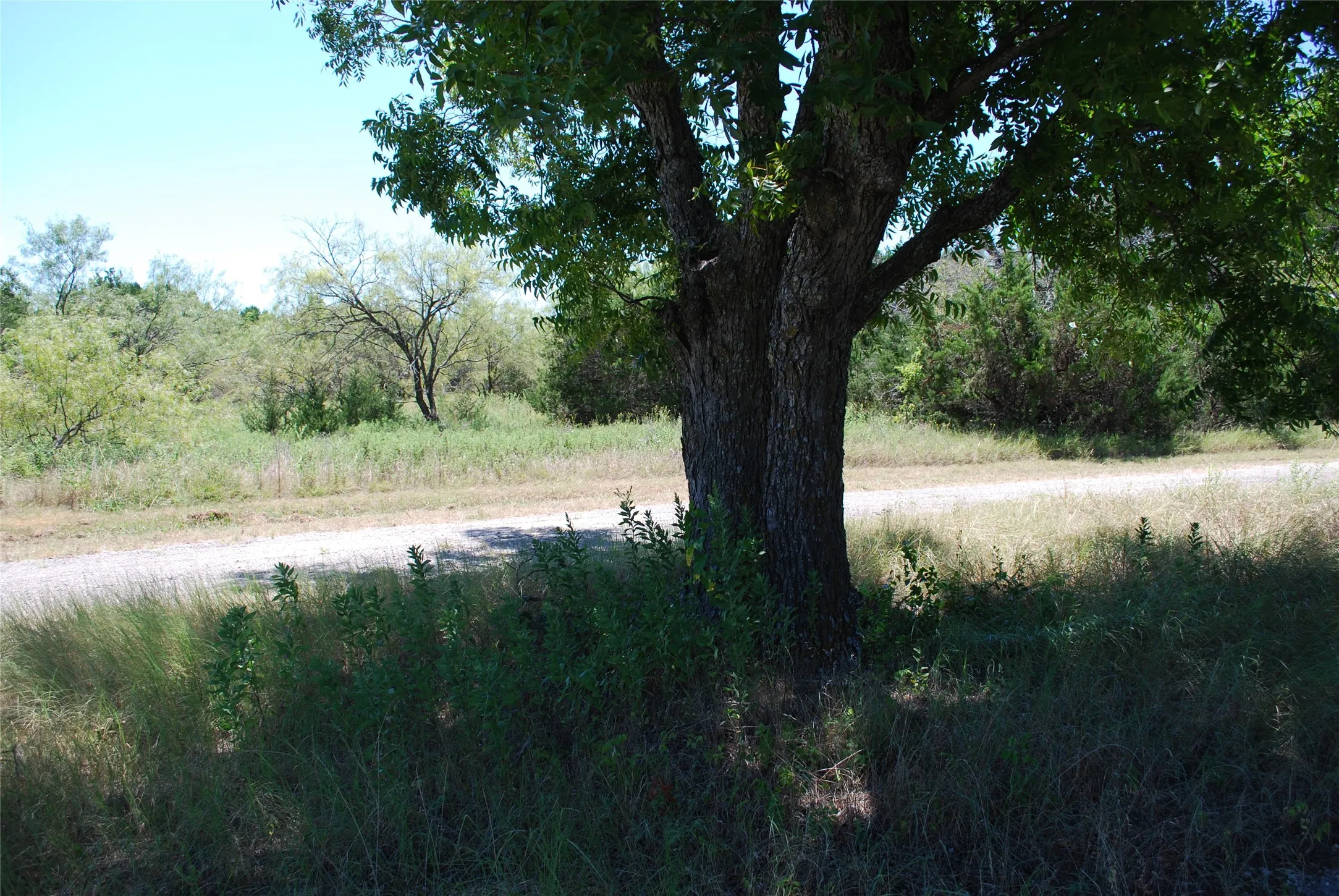Unimproved Land For Sale in Hill County , 43131 Mountain Sage Drive, Whitney, Texas 76692, 0, 0, Garage spaces, 0 Sqft, built in 0, Price $11,900, mls#21286662, Real Estate Agent in Whitney, Homes For Sale in Hill county, Homes For Sale in Whitney, Realtor in Whitney Texas, Real Estate Brokerage Independent Realty Texas, Luminita Cordes Realtor