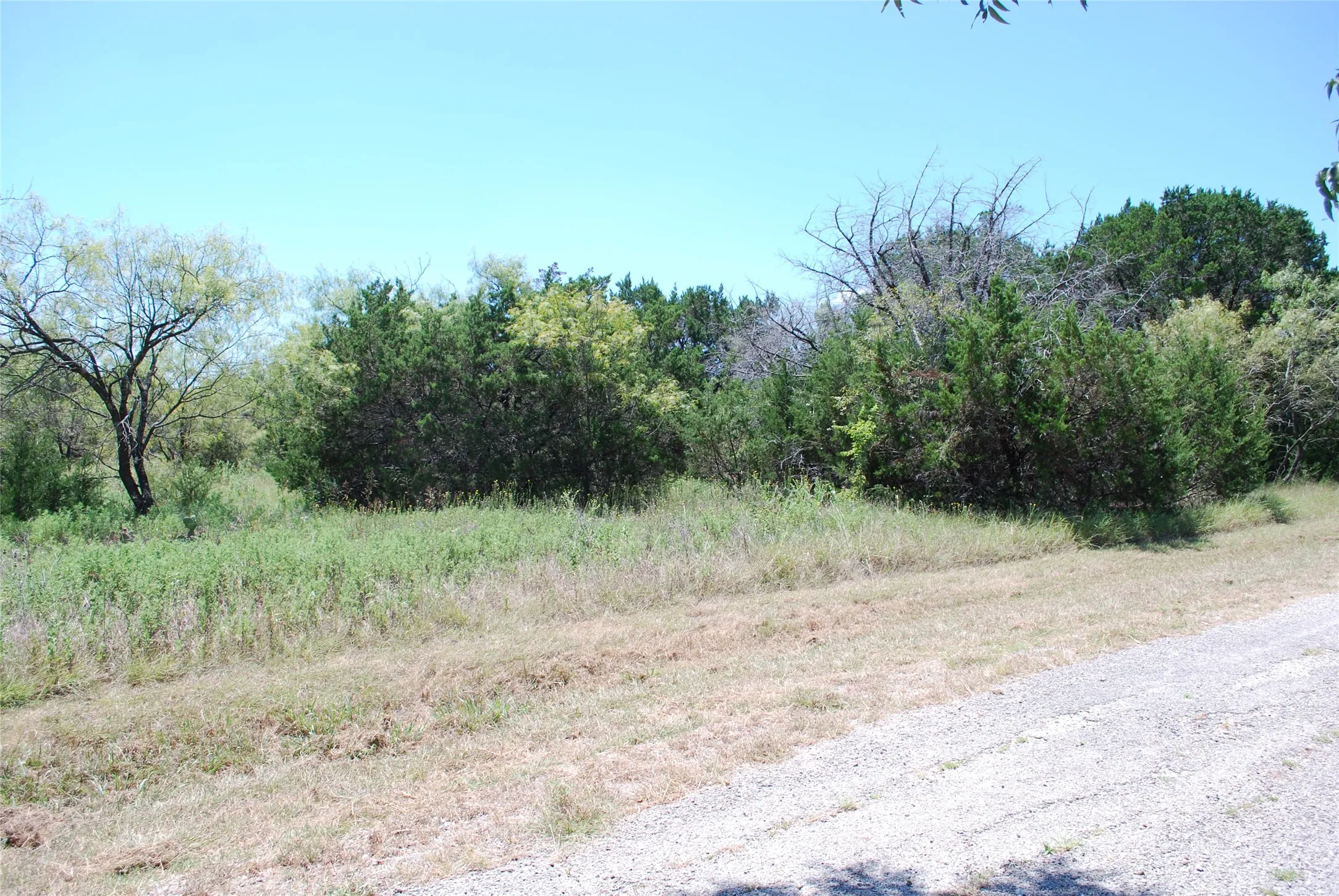 Unimproved Land For Sale in Hill County , 43131 Mountain Sage Drive, Whitney, Texas 76692, 0, 0, Garage spaces, 0 Sqft, built in 0, Price $11,900, mls#21286662, Real Estate Agent in Whitney, Homes For Sale in Hill county, Homes For Sale in Whitney, Realtor in Whitney Texas, Real Estate Brokerage Independent Realty Texas, Luminita Cordes Realtor