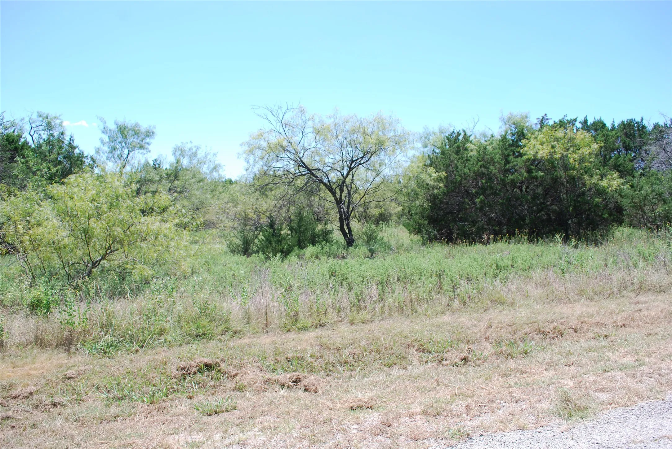 Unimproved Land For Sale in Hill County , 43131 Mountain Sage Drive, Whitney, Texas 76692, 0, 0, Garage spaces, 0 Sqft, built in 0, Price $11,900, mls#21286662, Real Estate Agent in Whitney, Homes For Sale in Hill county, Homes For Sale in Whitney, Realtor in Whitney Texas, Real Estate Brokerage Independent Realty Texas, Luminita Cordes Realtor