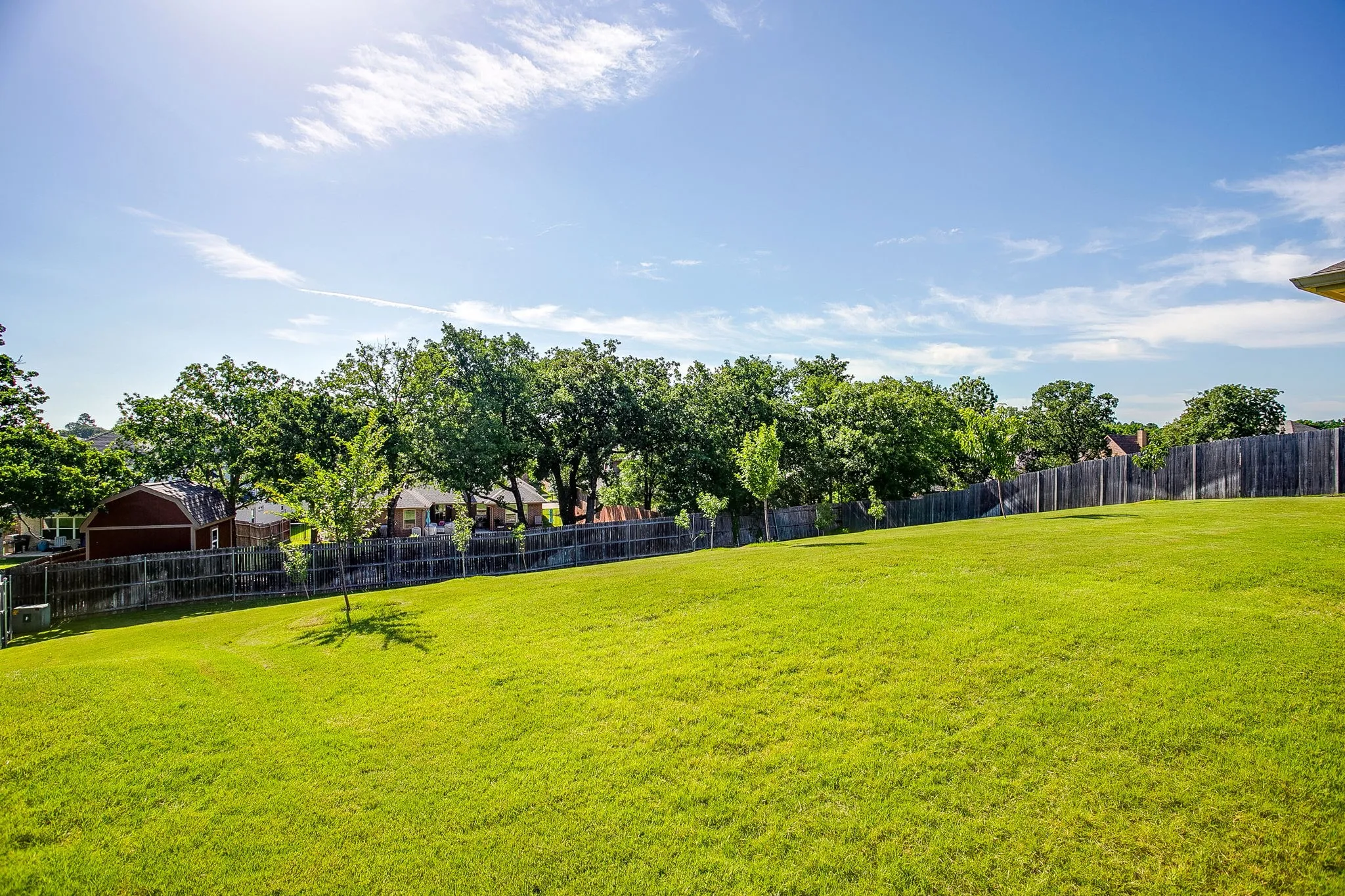 big yard, well maintained and has several established fruit trees.