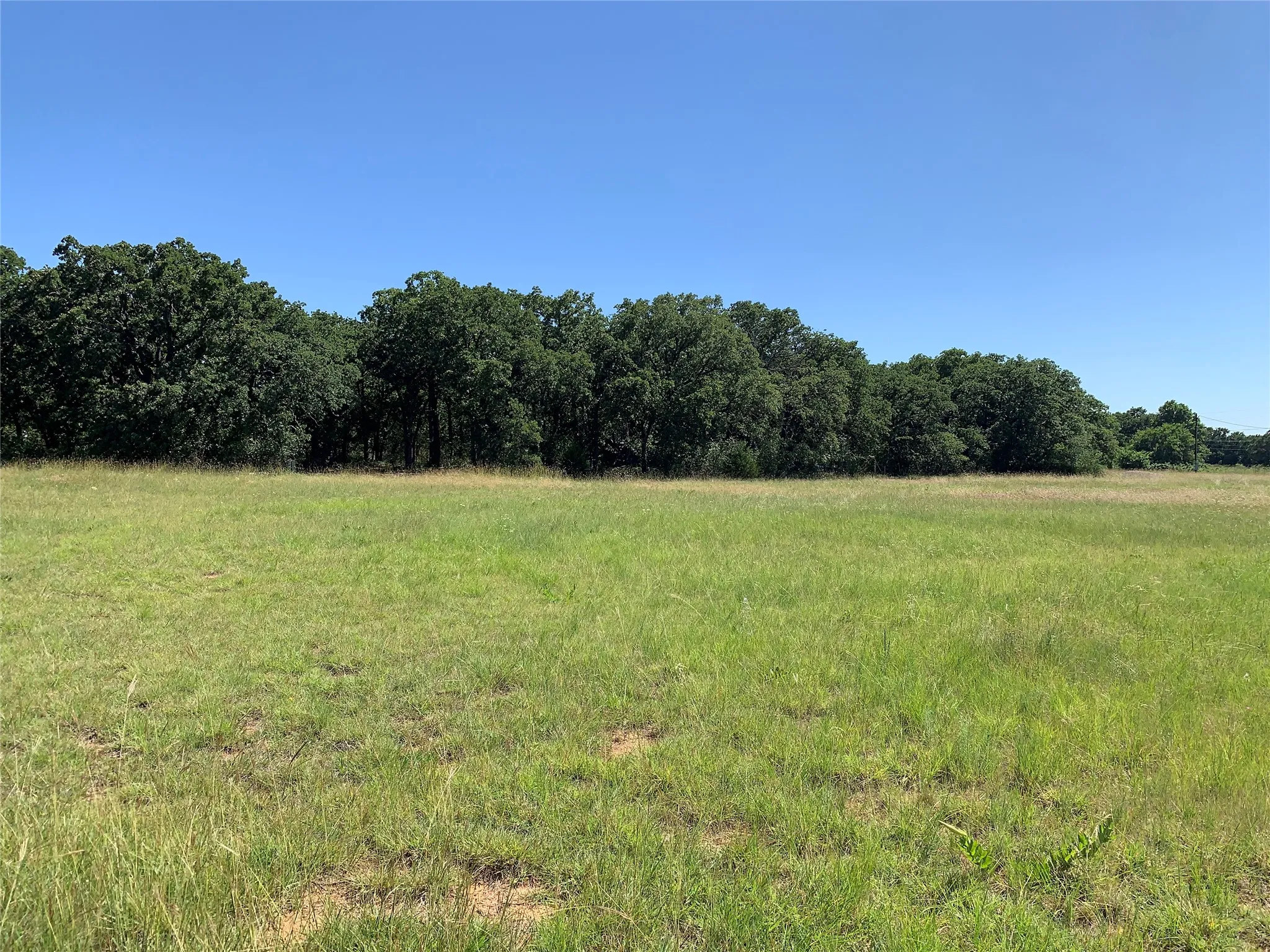 Heavily treed along the outer edge allowing for plenty of open grassy area.