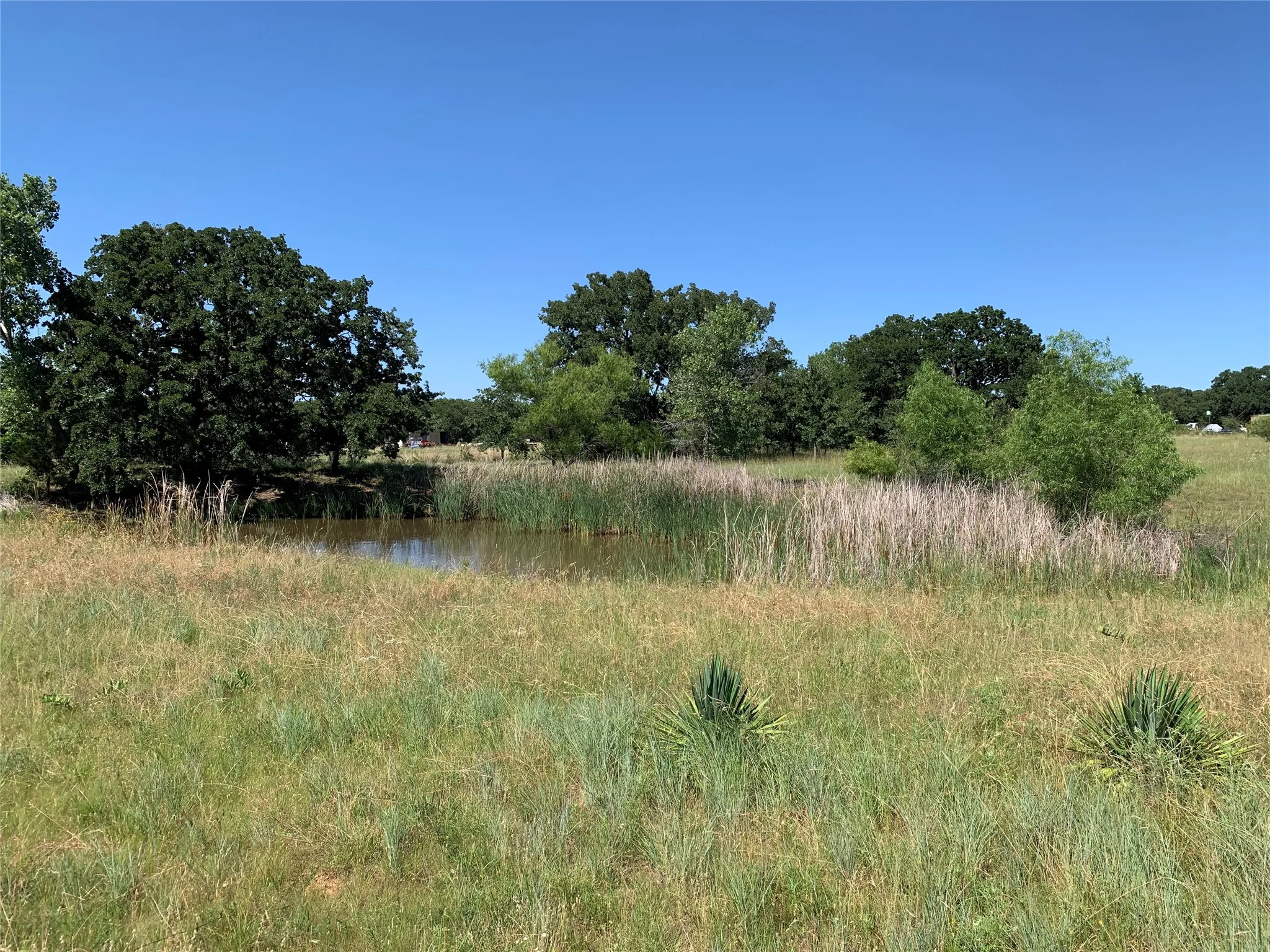 Pond is off to side leaving lots of open area for building your dream home!