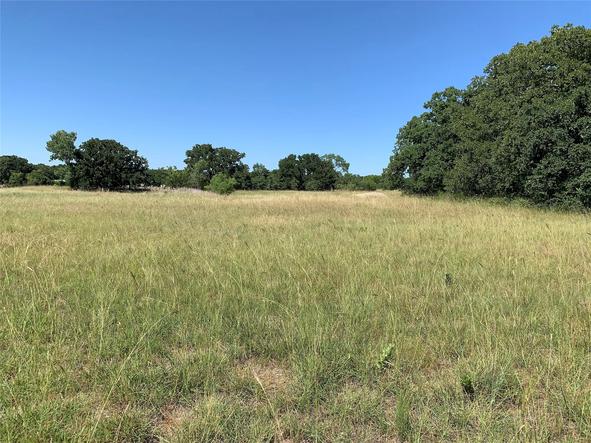 Fabulous lot! Trees, pond, and lots of open area to build on!