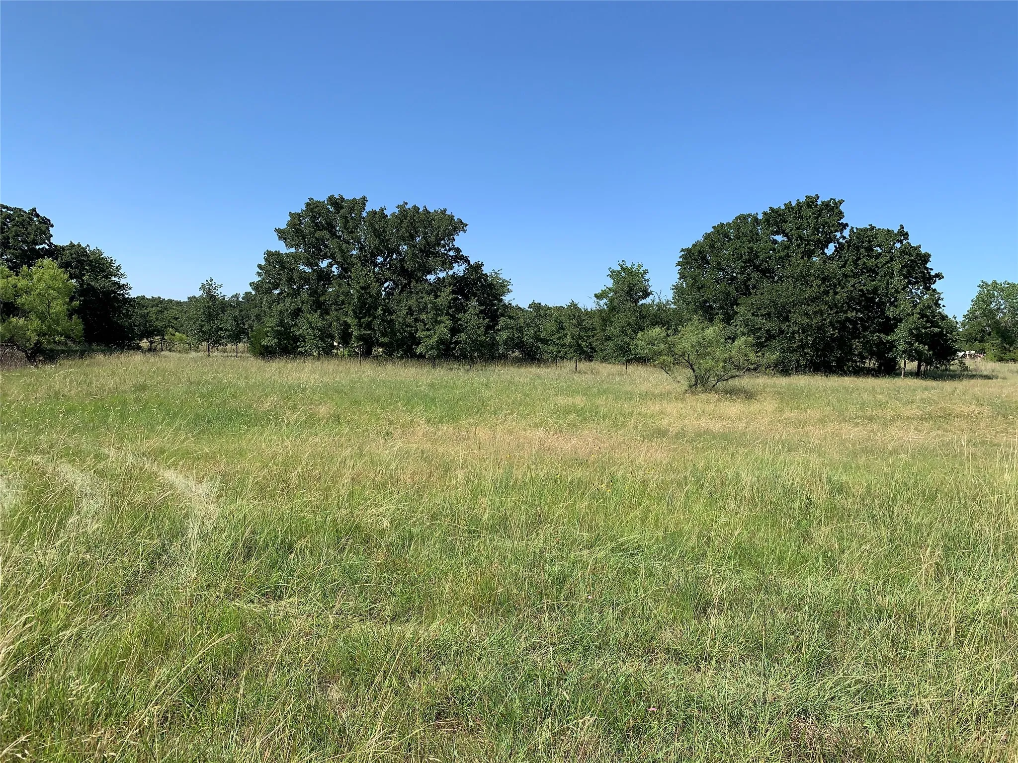 Great layout of trees, grassy area, pond and views!
