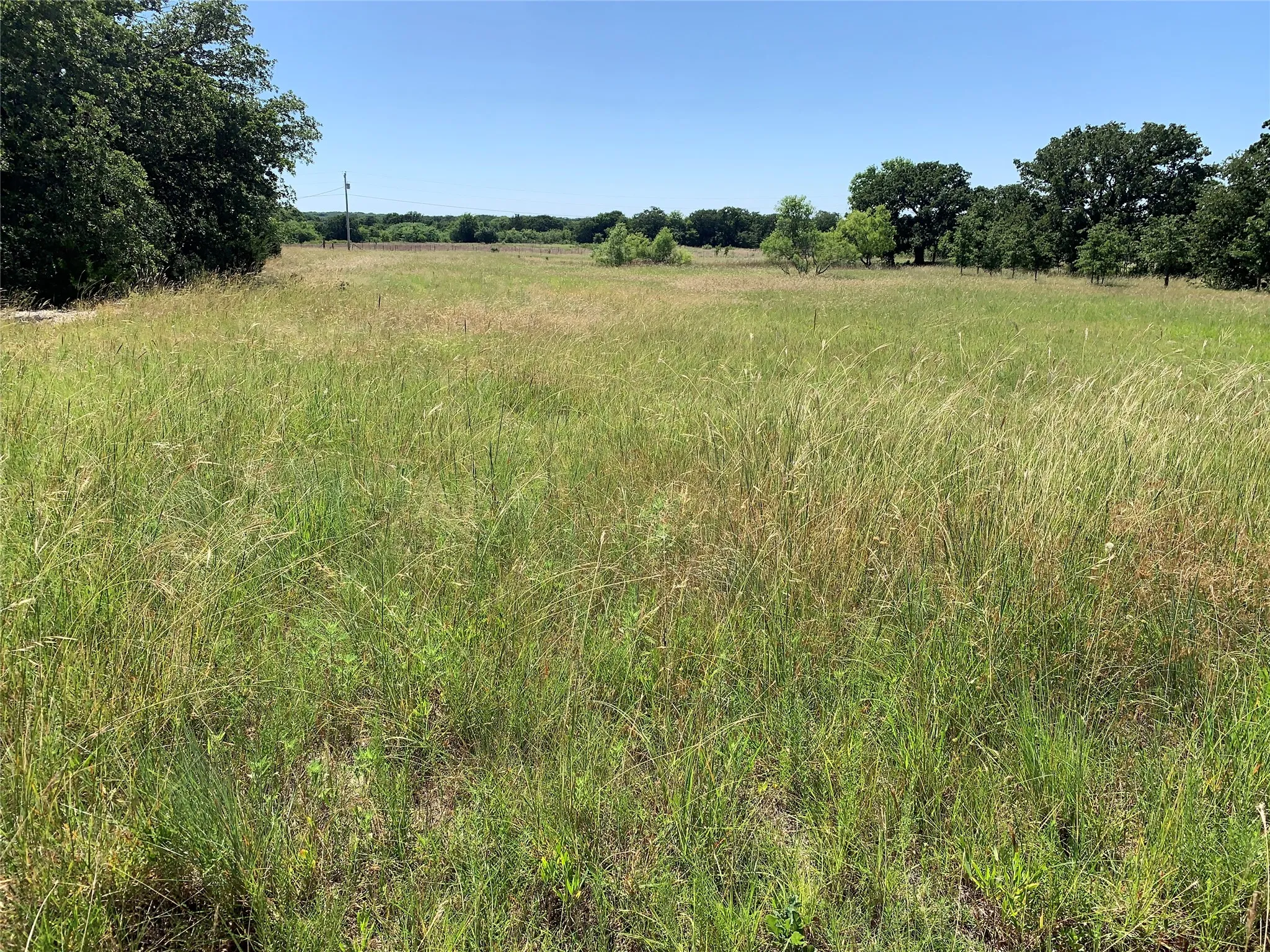 Large, flat open area for building your dream home!