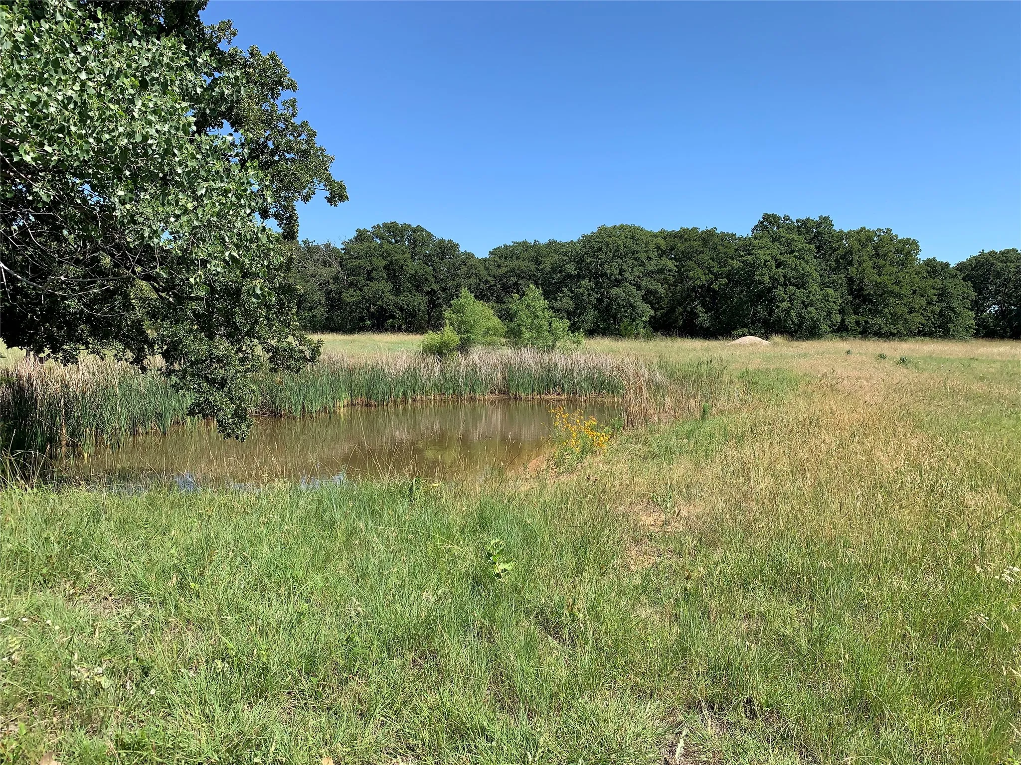 Improved Land For Sale in Montague County , 100 W Huron Circle, Nocona, Texas 76255, 0, 0, Garage spaces, 0 Sqft, built in 0, Price $115,000, mls#21287433, Real Estate Agent in Nocona, Homes For Sale in Montague county, Homes For Sale in Nocona, Realtor in Nocona Texas, Real Estate Brokerage Independent Realty Texas, Luminita Cordes Realtor