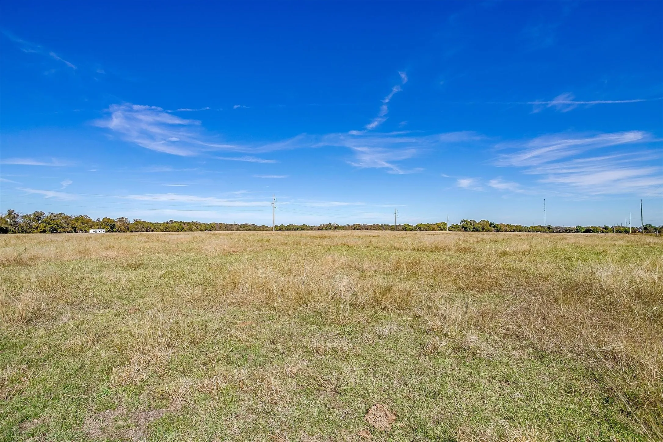 Expansive open field with natural grasses and distant tree line